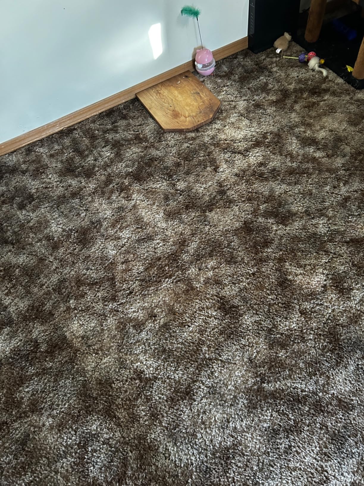 Shark NV352 Navigator Lift Away Upright Vacuum, Hepa Filter, Anti-Allergen Technology, Swivel Steering, Ideal for Carpet, Stairs, & Bare Floors, with Wide Upholstery & Crevice Tools, Lavender - Customer Photo 2