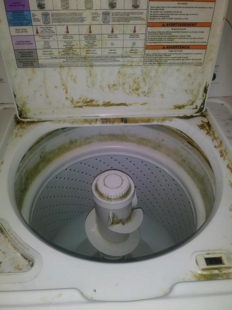 Glisten Washing Machine Cleaner, Helps Remove Odor, Buildup, and Limescale, Fresh Scent, Made in the USA, 12 Ounce Bottle - Customer Photo 1