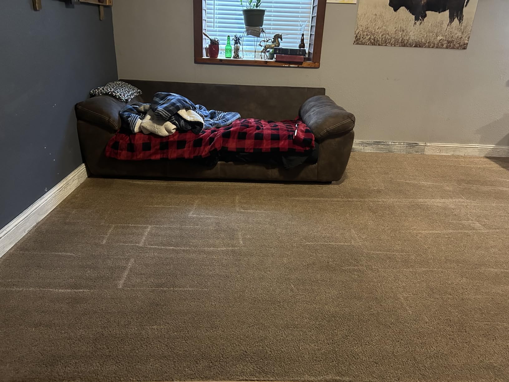 Hoover PowerScrub Deluxe Carpet Cleaner Machine for Carpet and Upholstery, Deep Cleaning Carpet Shampooer Machine with Multi-Purpose Tools, Pair Carpet Cleaner Solution Customer Review Hoover PowerScrub Deluxe Carpet Cleaner Machine for Carpet and Upholstery, Deep Cleaning Carpet Shampooer Machine with Multi-Purpose Tools, Pair Carpet Cleaner Solution - Customer Photo 2