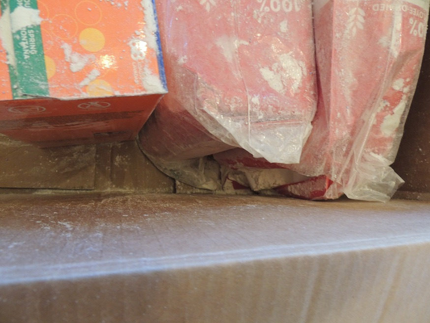 Tide Powder Laundry Detergent, Mountain Spring, 143 oz, 125 Loads (Packaging May Vary) Customer Review Tide Powder Laundry Detergent, Mountain Spring, 143 oz, 125 Loads (Packaging May Vary) - Customer Photo 2