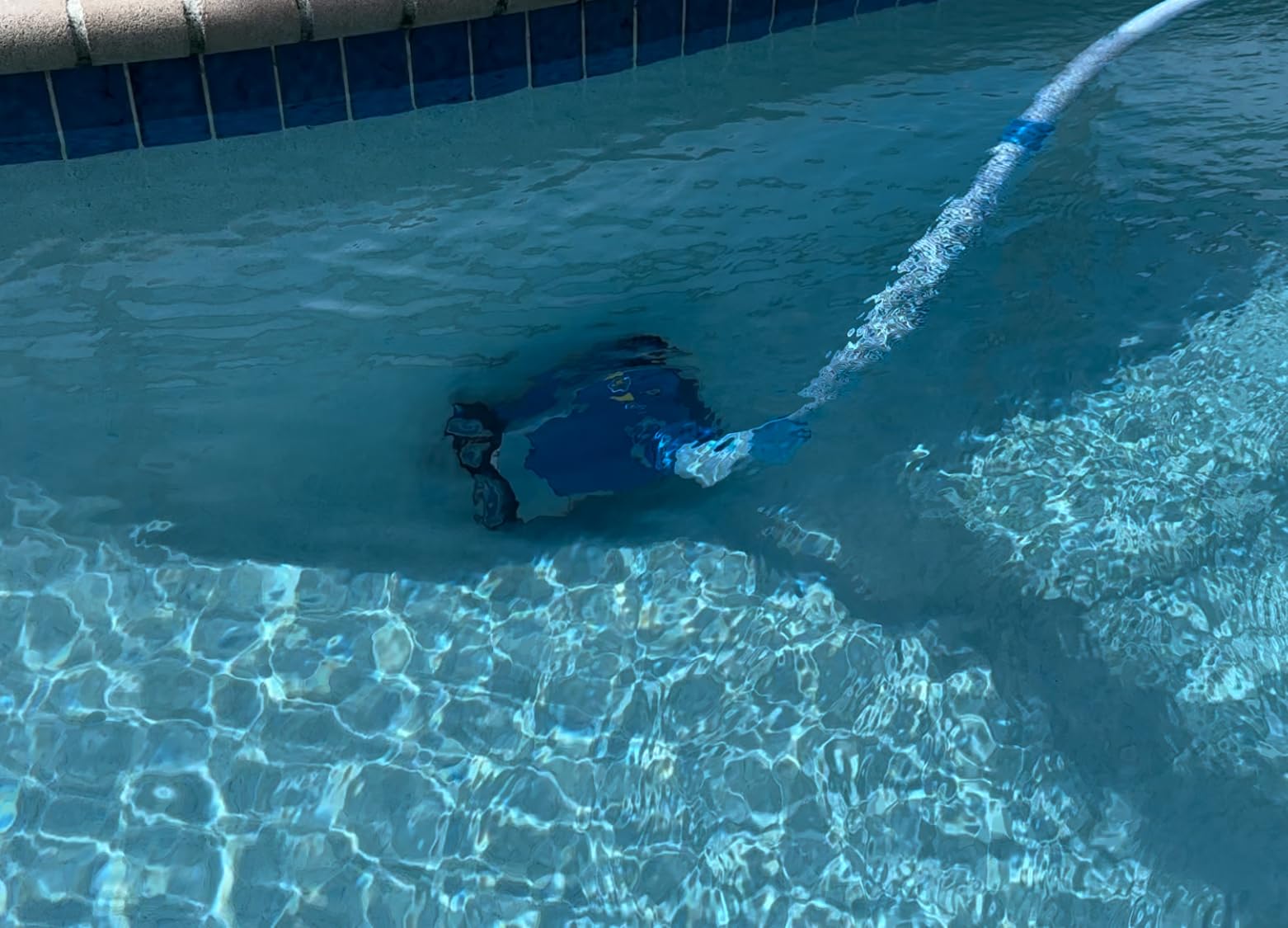 Zodiac MX6 Suction-Side Automatic Pool Cleaner for In-Ground Pools Customer Review Zodiac MX6 Suction-Side Automatic Pool Cleaner for In-Ground Pools - Customer Photo 2