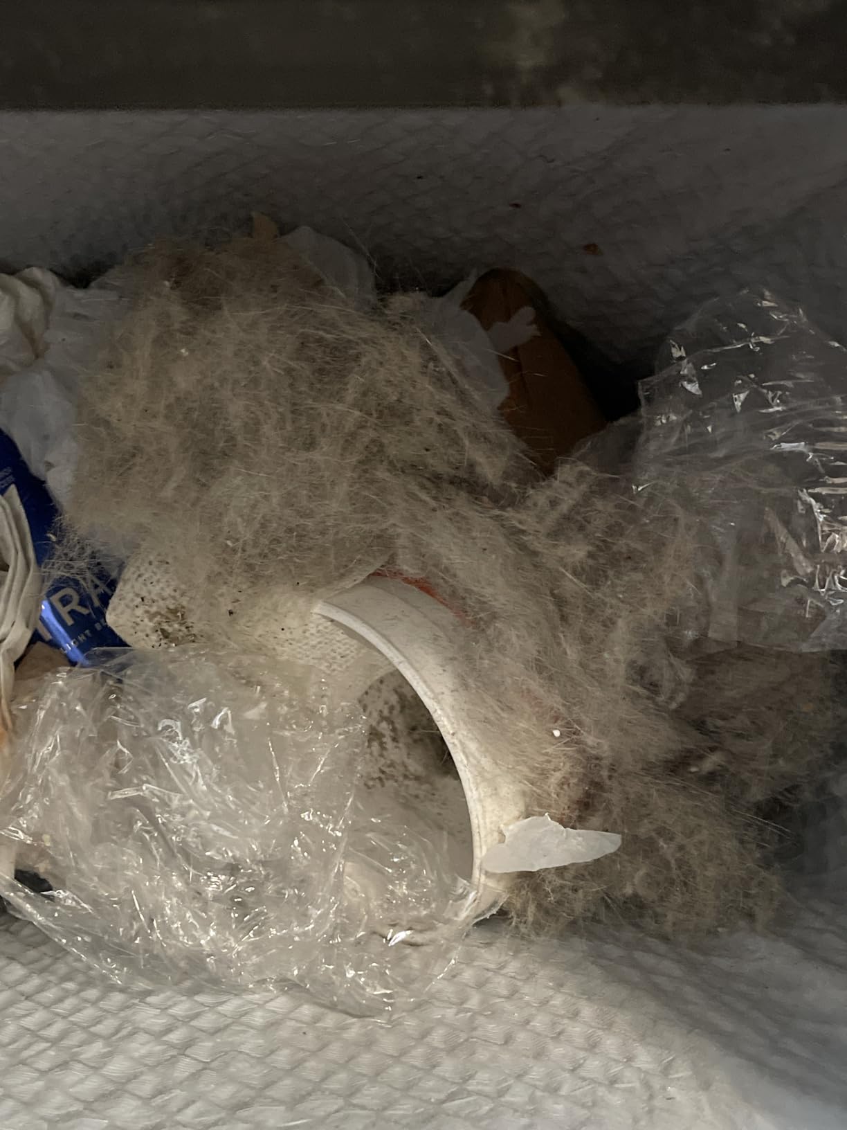 Shark HV322 Rocket Deluxe Pro Corded Stick Vacuum with LED Headlights, XL Dust Cup, Lightweight, Perfect for Pet Hair Pickup, Converts to a Hand Vacuum, with Pet Attachments, Bordeaux/Silver Customer Review Shark HV322 Rocket Deluxe Pro Corded Stick Vacuum with LED Headlights, XL Dust Cup, Lightweight, Perfect for Pet Hair Pickup, Converts to a Hand Vacuum, with Pet Attachments, Bordeaux/Silver - Customer Photo 1