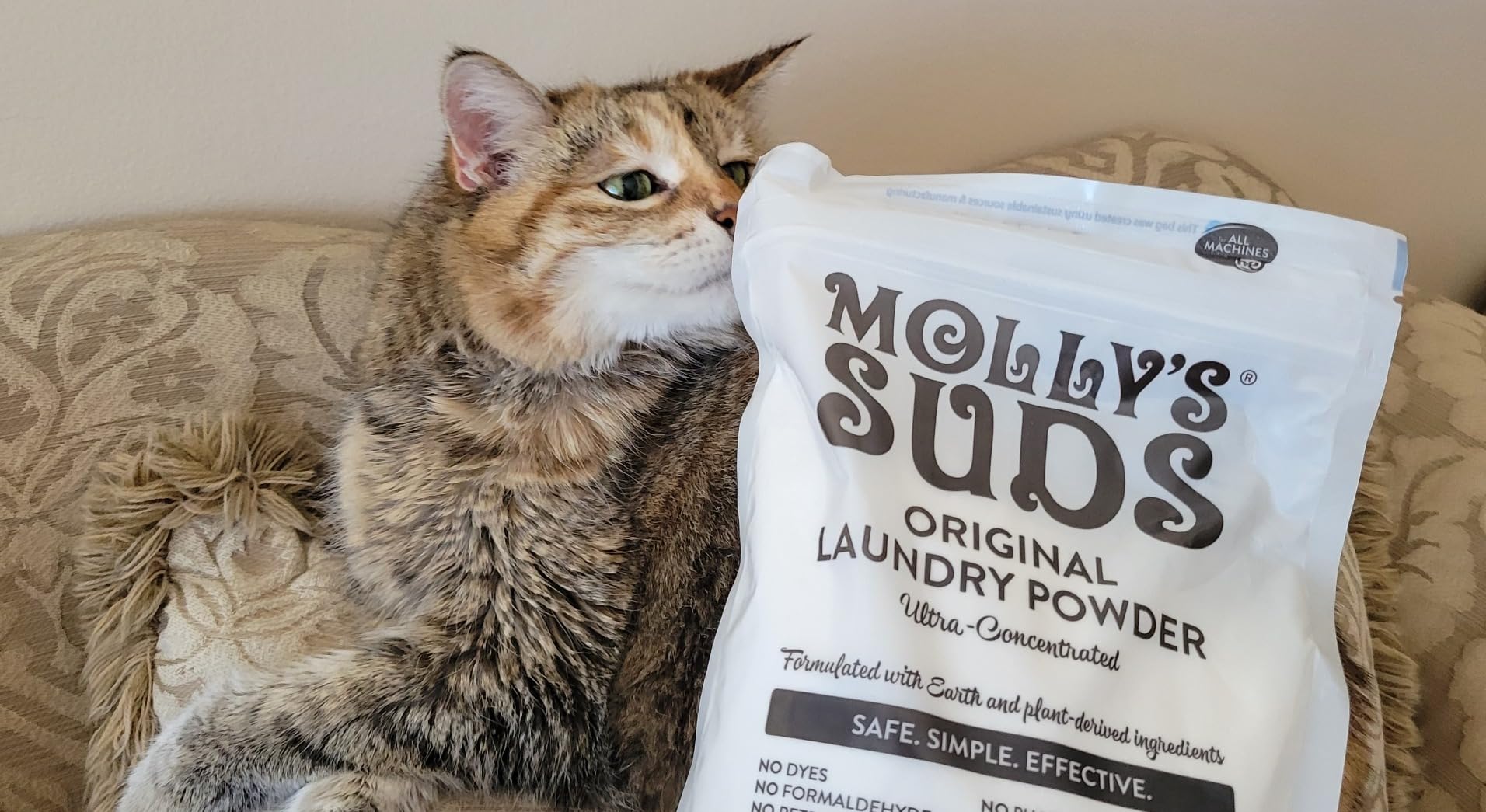 Molly's Suds Original Laundry Detergent Powder | Clean Laundry Detergent Powder for Sensitive Skin | Simple, Effective Ingredients, Stain Fighting | 120 Loads (Unscented) Customer Review Molly's Suds Original Laundry Detergent Powder | Clean Laundry Detergent Powder for Sensitive Skin | Simple, Effective Ingredients, Stain Fighting | 120 Loads (Unscented) - Customer Photo 2