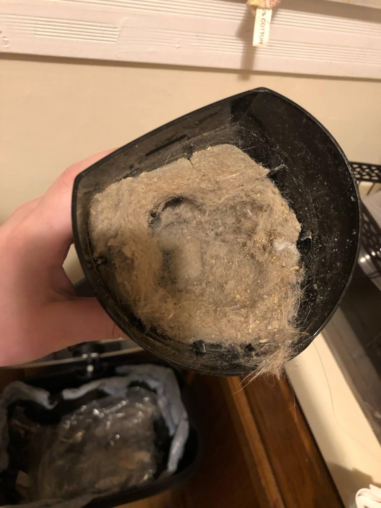 Bissell Featherweight Stick Lightweight Bagless Vacuum with Crevice Tool, 2033, One Size Fits All, Blue - Customer Photo 1