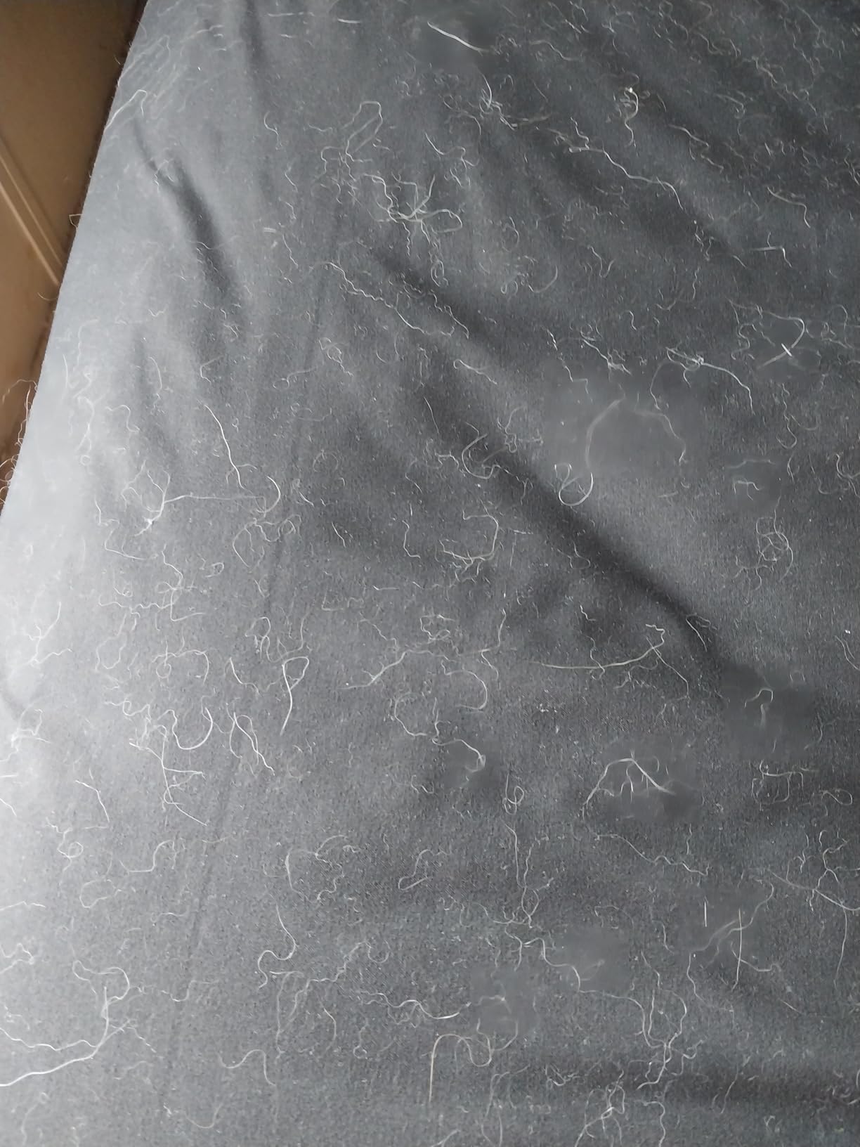 FurZapper Pet Hair Remover for Laundry, 2 Pack - Reusable Dog & Cat Hair Remover Tool As Seen on Shark Tank - Removes Pet Fur, Hair, Lint, Dander From Clothes & Laundry - Use 1 FurZapper Per Pet - Customer Photo 2