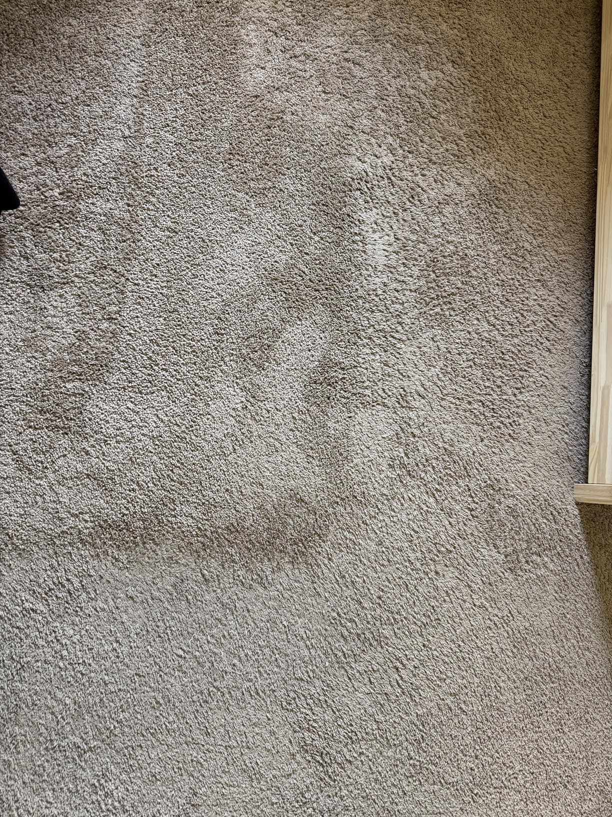 Eureka Blaze Stick Vacuum Cleaner, Powerful Suction 3-in-1 Small Handheld Vac with Filter for Hard Floor Lightweight Upright Home Pet Hair, Dark Black - Customer Photo 2