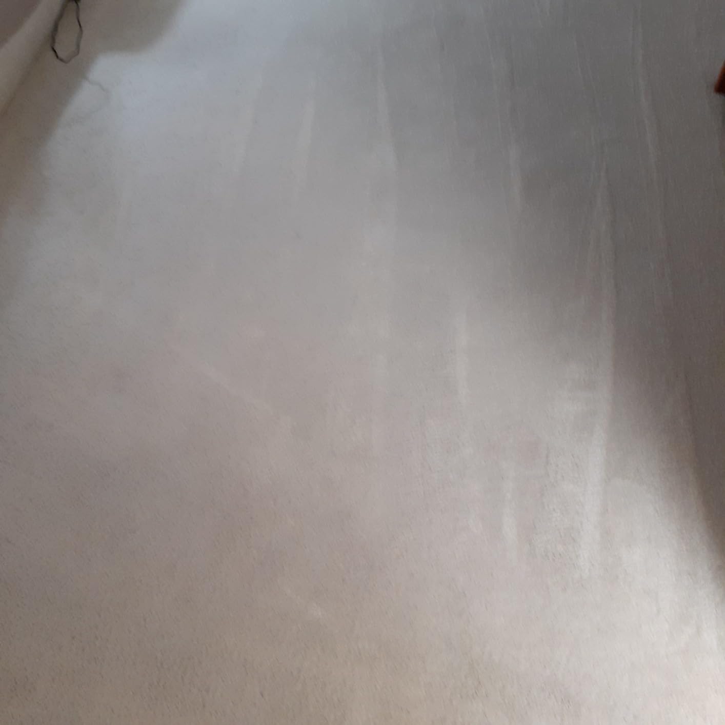 Hoover PowerDash Pet Compact Carpet Cleaner Machine, Lightweight Shampooer Machine, Pair with a Hoover Carpet Cleaner Solution for a Bright, Refreshed Home Customer Review Hoover PowerDash Pet Compact Carpet Cleaner Machine, Lightweight Shampooer Machine, Pair with a Hoover Carpet Cleaner Solution for a Bright, Refreshed Home - Customer Photo 2