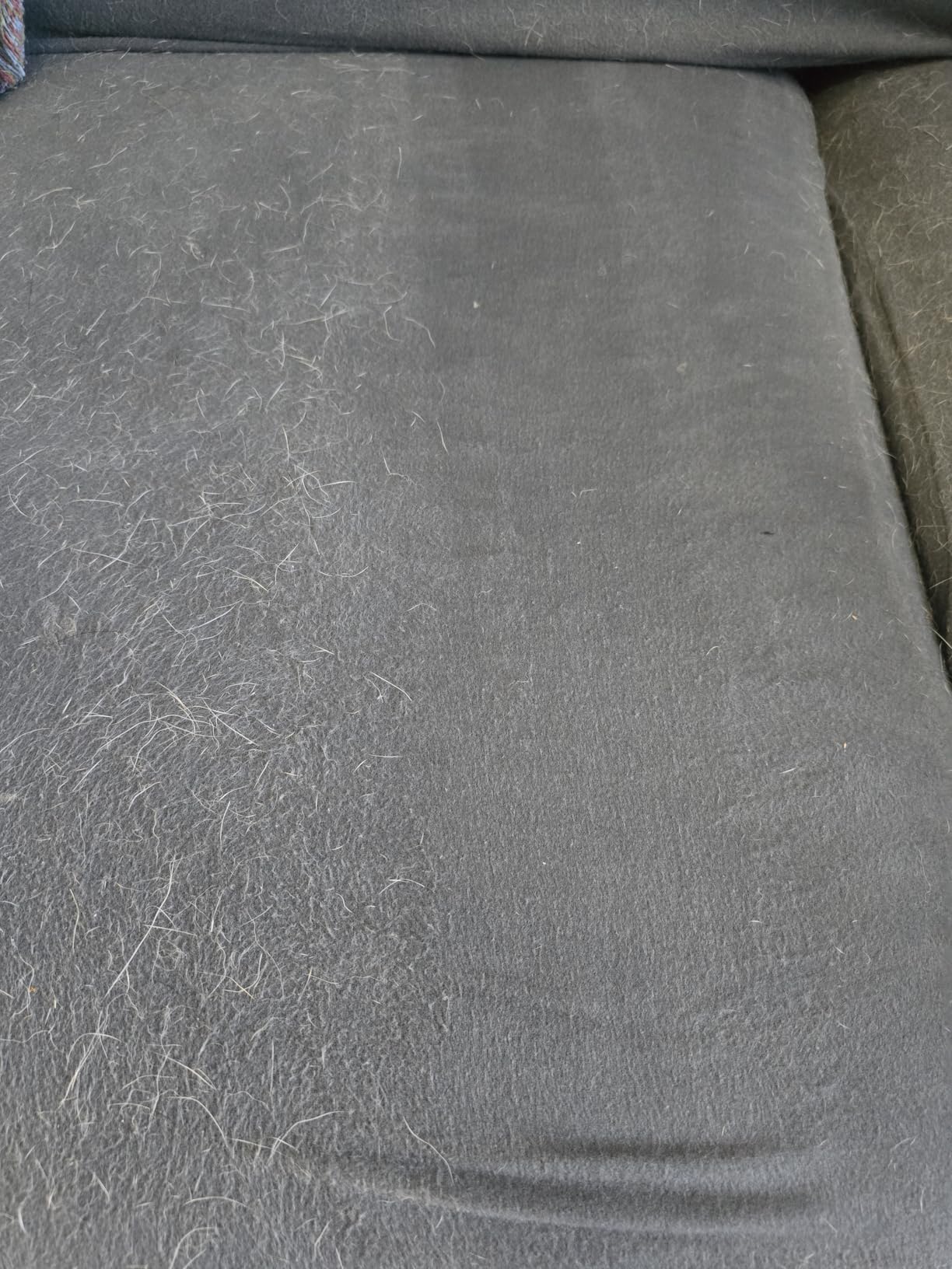 BISSELL Pet Hair Eraser Cordless Hand Vacuum, Lithium Ion, Home, Auto, and Pet Vacuum, Easy-Empty Dirt Bin, Upholstery Tool, Brush Tool, and Crevice Tool Included, 2390A - Customer Photo 3