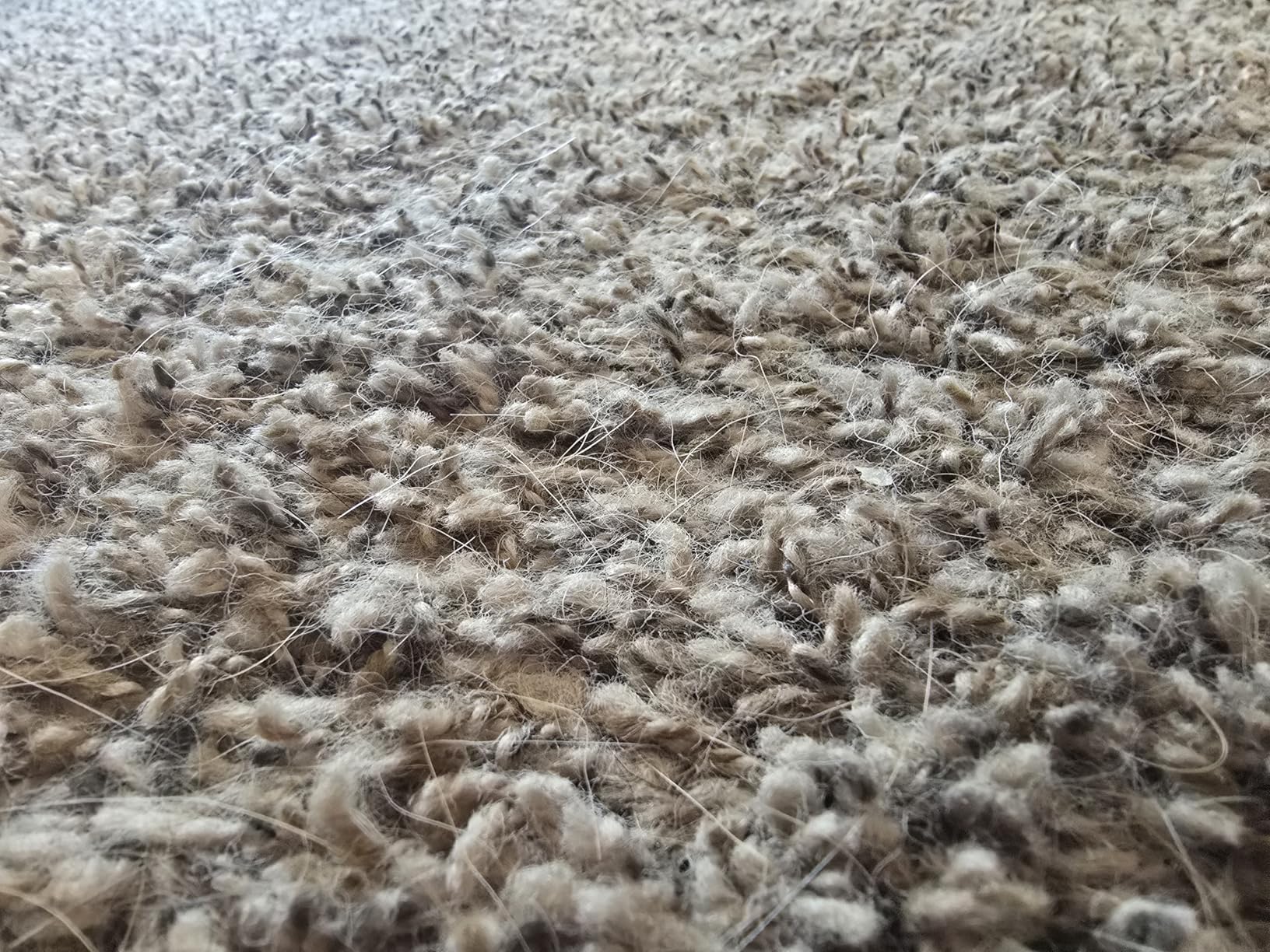 BISSELL 2252 CleanView Swivel Upright Bagless Vacuum with Swivel Steering, Powerful Pet Hair Pick Up, Specialized Pet Tools, Large Capacity Dirt Tank, Easy Empty Customer Review BISSELL 2252 CleanView Swivel Upright Bagless Vacuum with Swivel Steering, Powerful Pet Hair Pick Up, Specialized Pet Tools, Large Capacity Dirt Tank, Easy Empty - Customer Photo 2