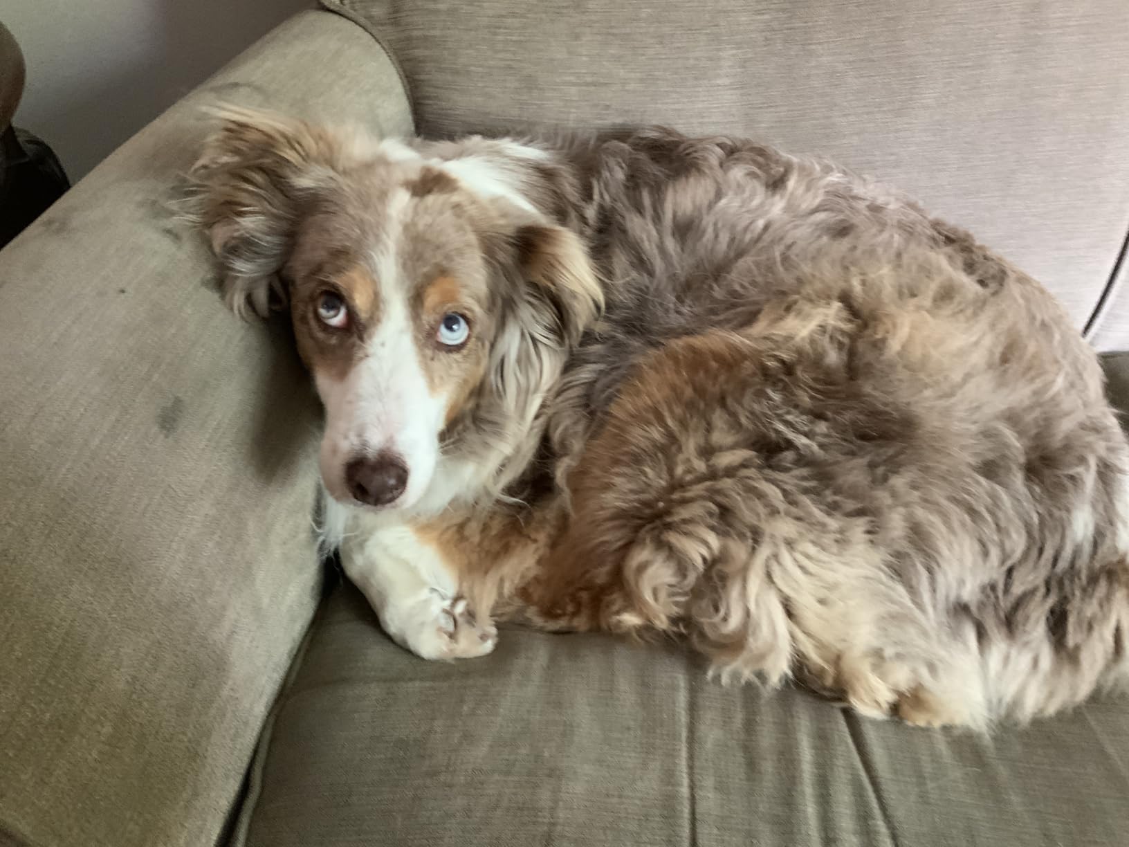 CRAFTSMAN CMXEVBE17250 2.5 Gallon 2.5 Peak HP Wet/Dry Shop Vac, Portable Shop Vacuum Wet and Dry with Filter Bag, Hose and Attachments for Cleaning in the Home - Customer Photo 3