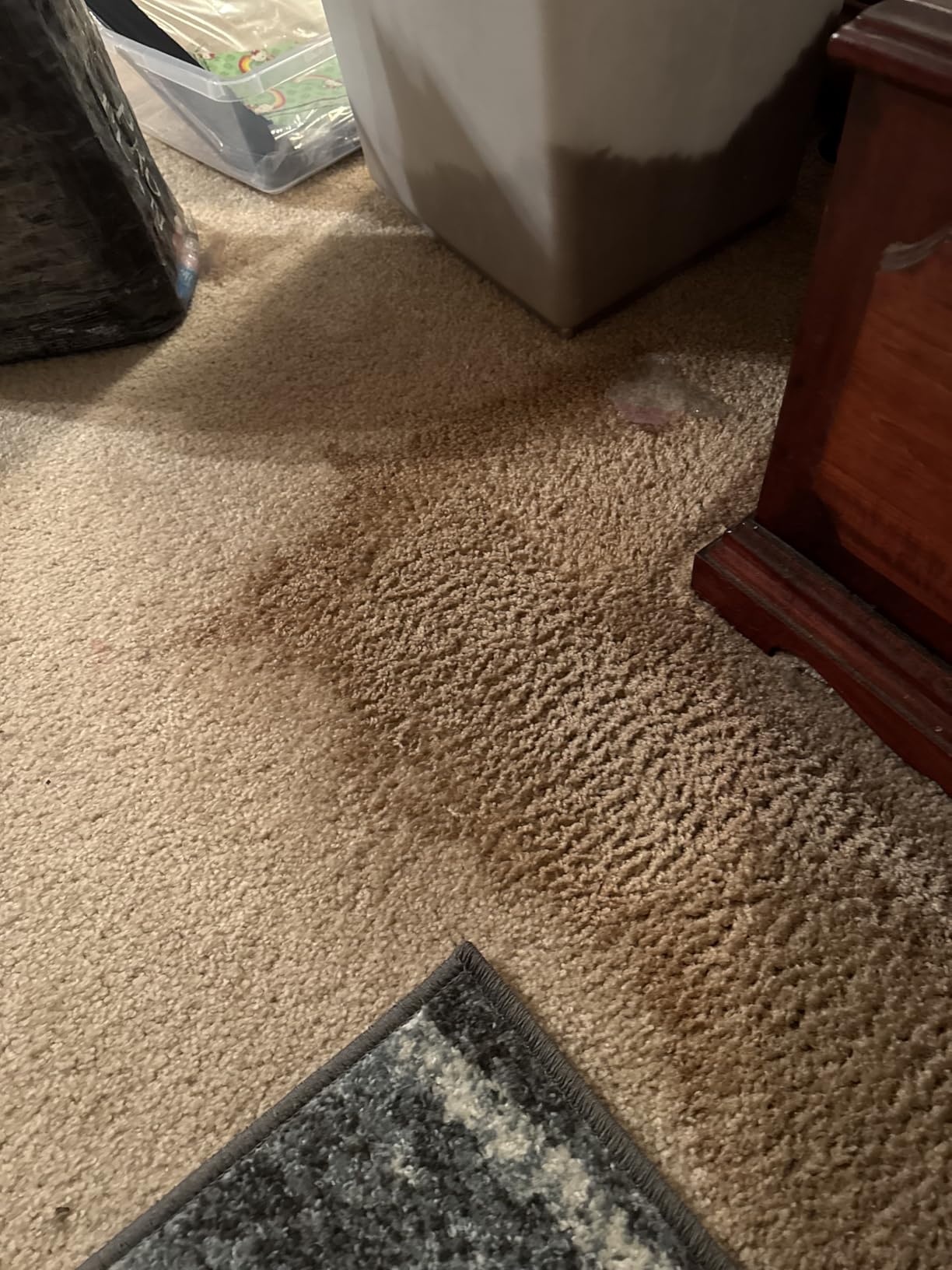 AmazonCommercial Multi-Purpose Enzyme Cleaner, 1-Gallon, 1-Pack - Customer Photo 1