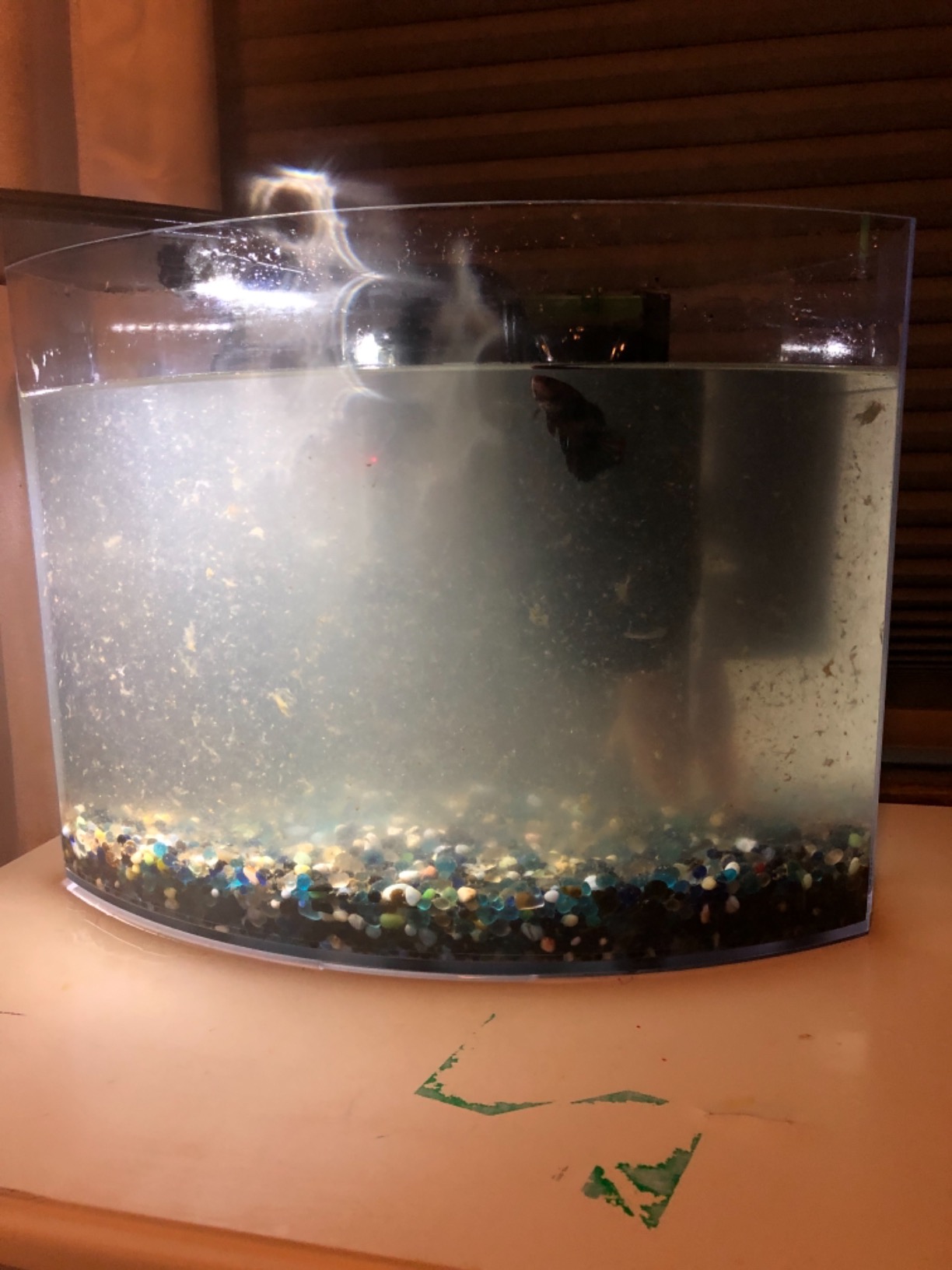 AQQA Aquarium Gravel Cleaner, 6-in-1 Electric Fish Tanks Gravel Vacuum Cleaner Set for Remove Dirt, Change Water, Wash Sand, Water Shower, Water Circulation (20W, 320GPH) - Customer Photo 2