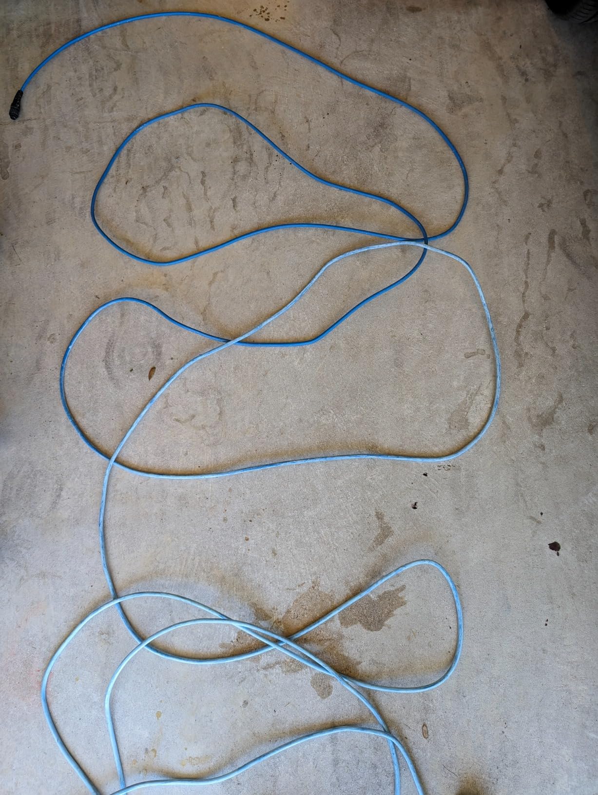 Dolphin Nautilus CC Automatic Robotic Pool Vacuum Cleaner, Always Cleaning, Never Charging, Includes Caddy for Easy Transport and Storage, Ideal for In-Ground Pools up to 33 FT in Length Customer Review Dolphin Nautilus CC Automatic Robotic Pool Vacuum Cleaner, Always Cleaning, Never Charging, Includes Caddy for Easy Transport and Storage, Ideal for In-Ground Pools up to 33 FT in Length - Customer Photo 3