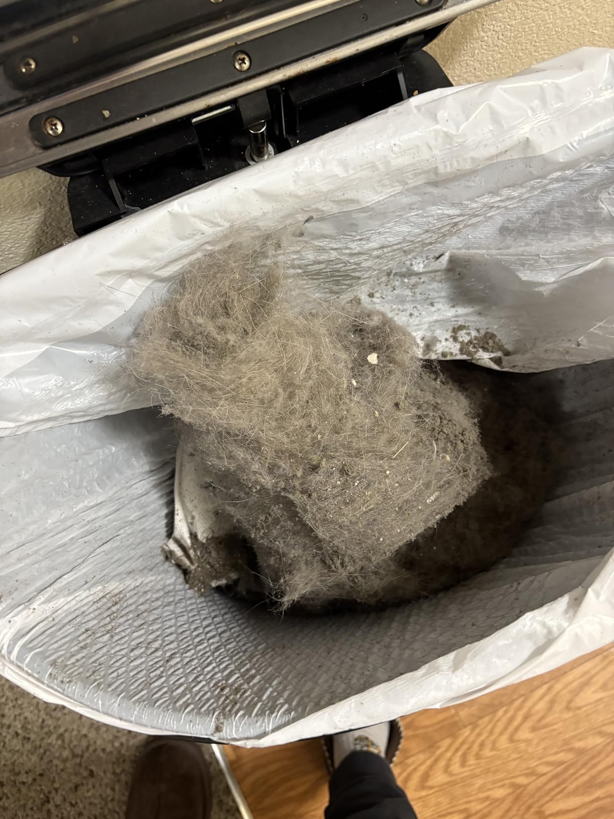 Eureka PowerSpeed Lightweight Upright Vacuum Cleaner for Carpet and Hard Floor, Powerful Bagless Upright Vacuum Cleaner for Home Pets, NEU181A, Blue - Customer Photo 2