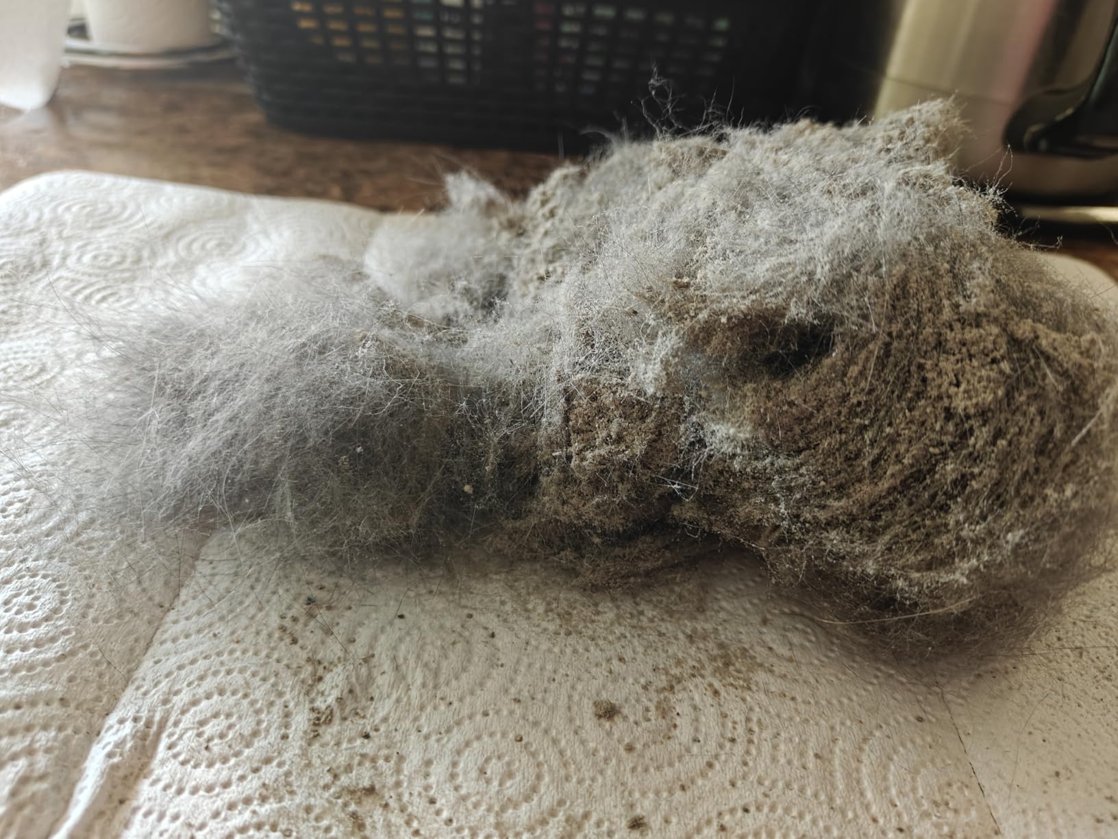 Eureka NEU10AE5 Powerful Bagless Upright Vacuum Cleaner Carpet and Floor, AirSpeed Ultra-Lightweight Vacuum Cleaner, w/ Replacement Filter, Blue - Customer Photo 2