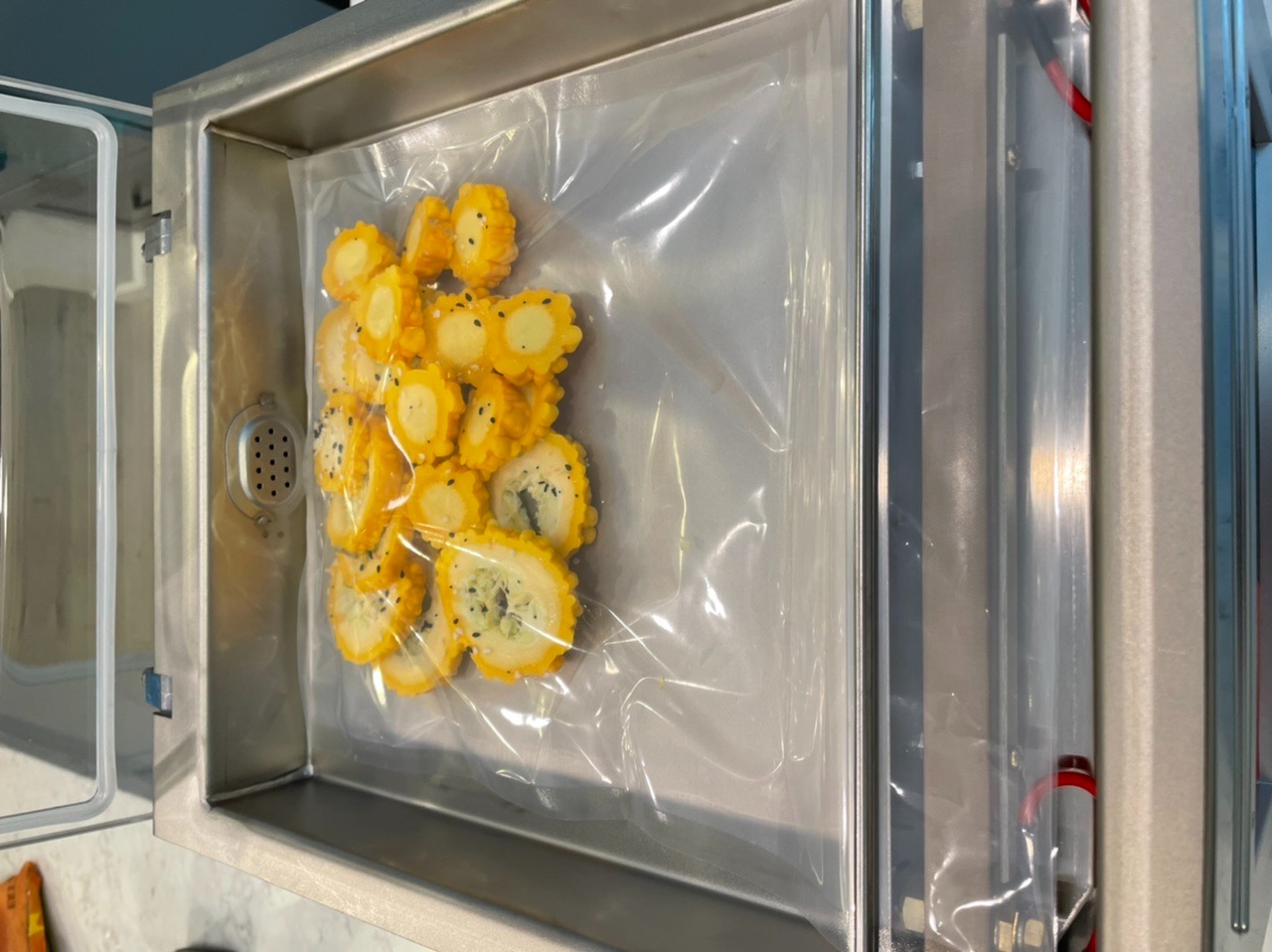 Chamber Vacuum Sealer, CM255, Perfect for Home and Commercial Kitchens, Industrial Grade Packaging Machine with High Powered Pump - Customer Photo 1