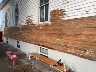 12 Amp Paintshaver Pro - Customer Photo 1