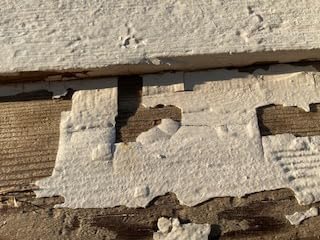 12 Amp Paintshaver Pro - Customer Photo 2