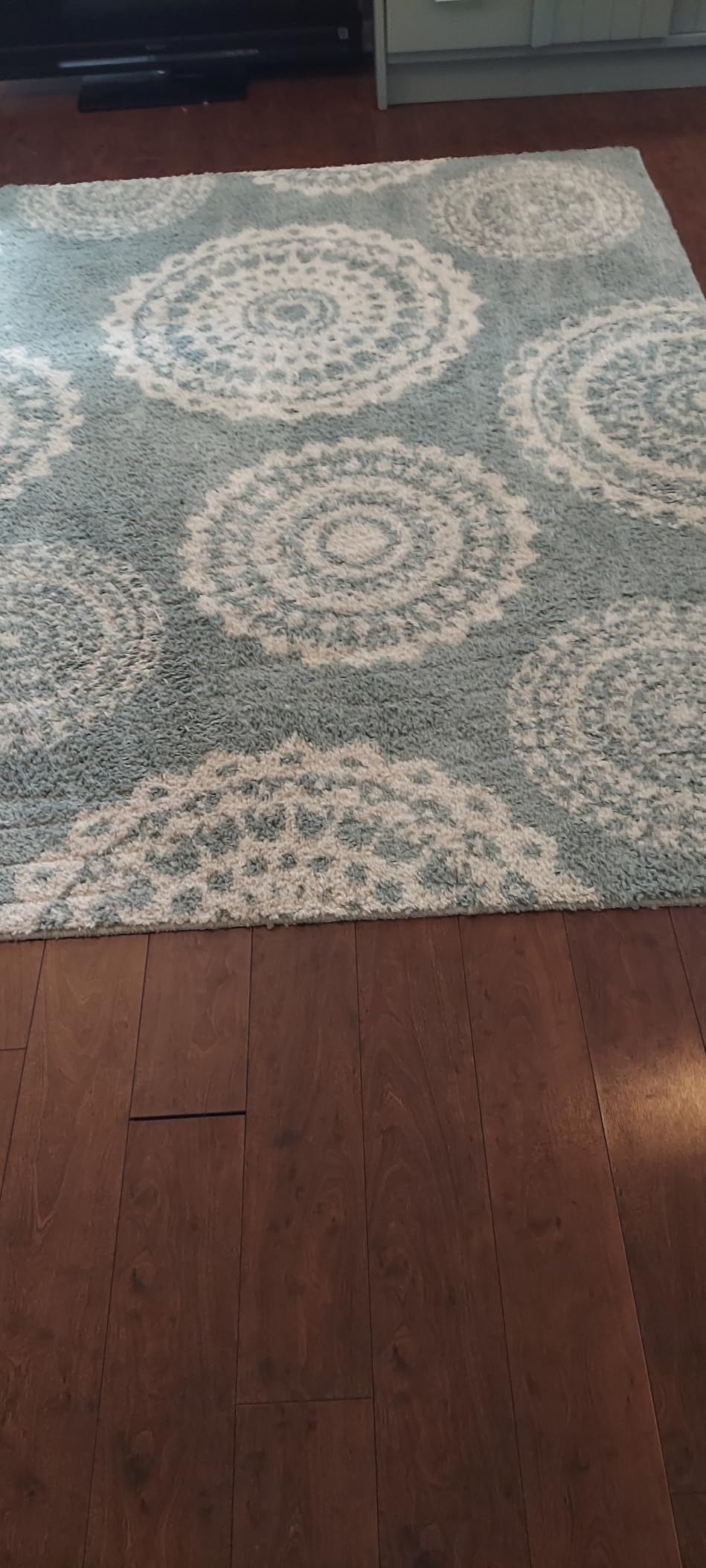 BISSELL CleanView Compact Upright Vacuum, Fits in Dorm Rooms & Apartments, Lightweight with Powerful Suction and Removable Extension Wand, 3508 - Customer Photo 3