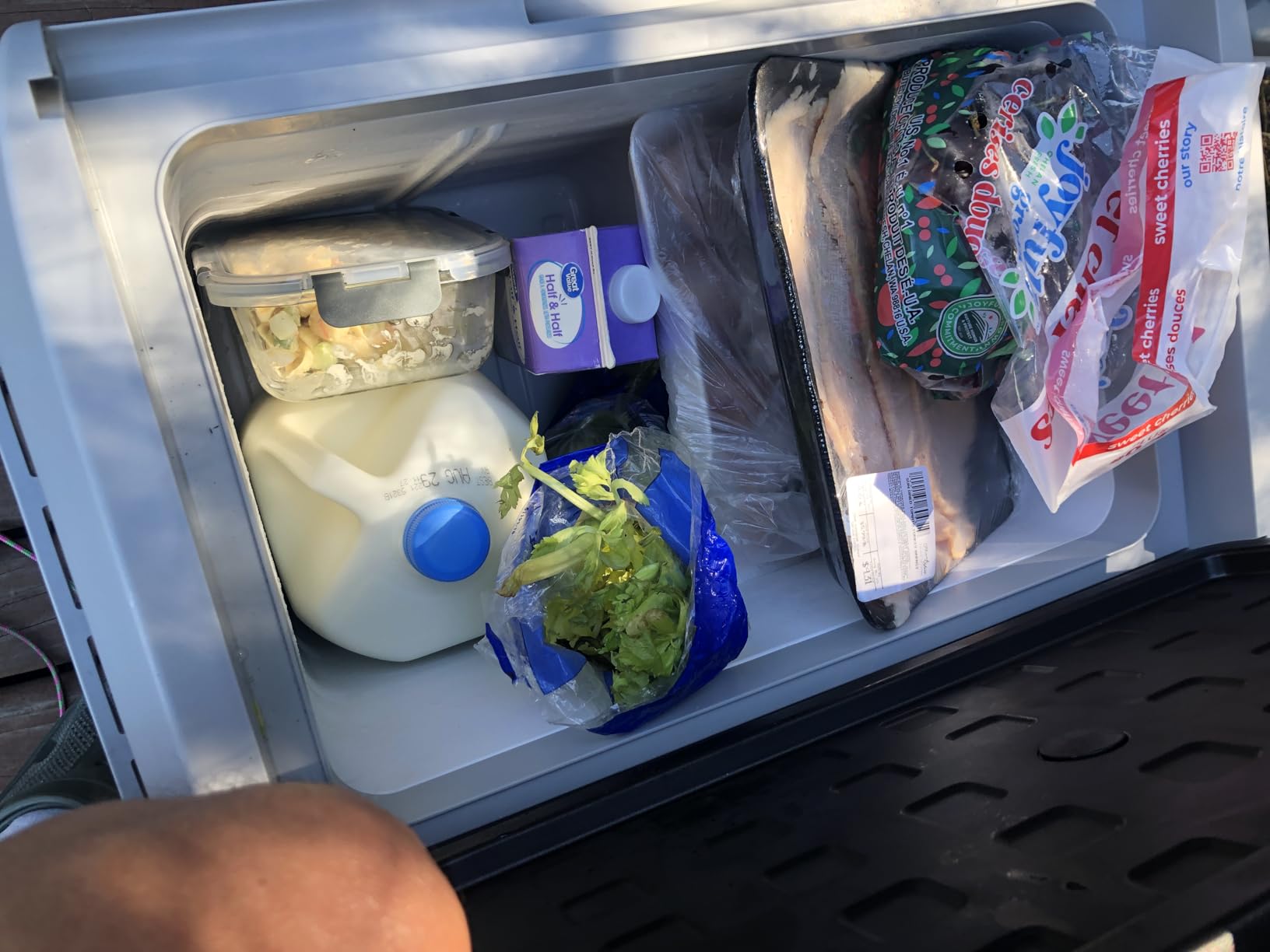 VEVOR 10 Quart 12 Volt Portable Mini Freezer Car Compressor Fridge Cooler Customer Review VEVOR 10 Quart 12 Volt Portable Mini Freezer Car Compressor Fridge Cooler - Customer Photo 1