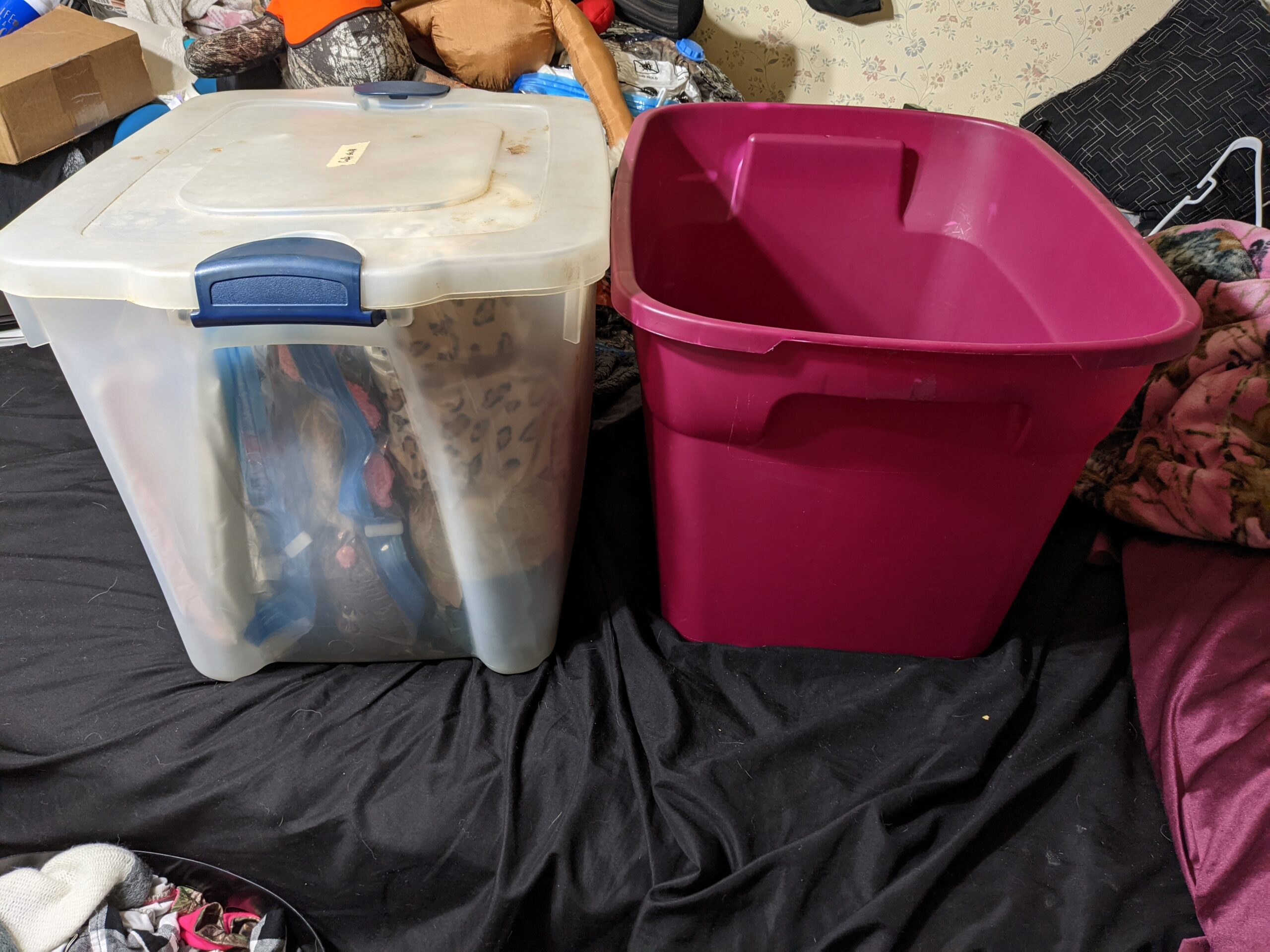 Amazon Basics Vacuum Compression Space Saving Storage Bags with Hand Pump for Travel, Multiple Sizes for Clothes and Blankets, Clear, 20 Pack (5 Small, 5 Medium, 5 Large & 5 Jumbo) Customer Review Amazon Basics Vacuum Compression Space Saving Storage Bags with Hand Pump for Travel, Multiple Sizes for Clothes and Blankets, Clear, 20 Pack (5 Small, 5 Medium, 5 Large & 5 Jumbo) - Customer Photo 3