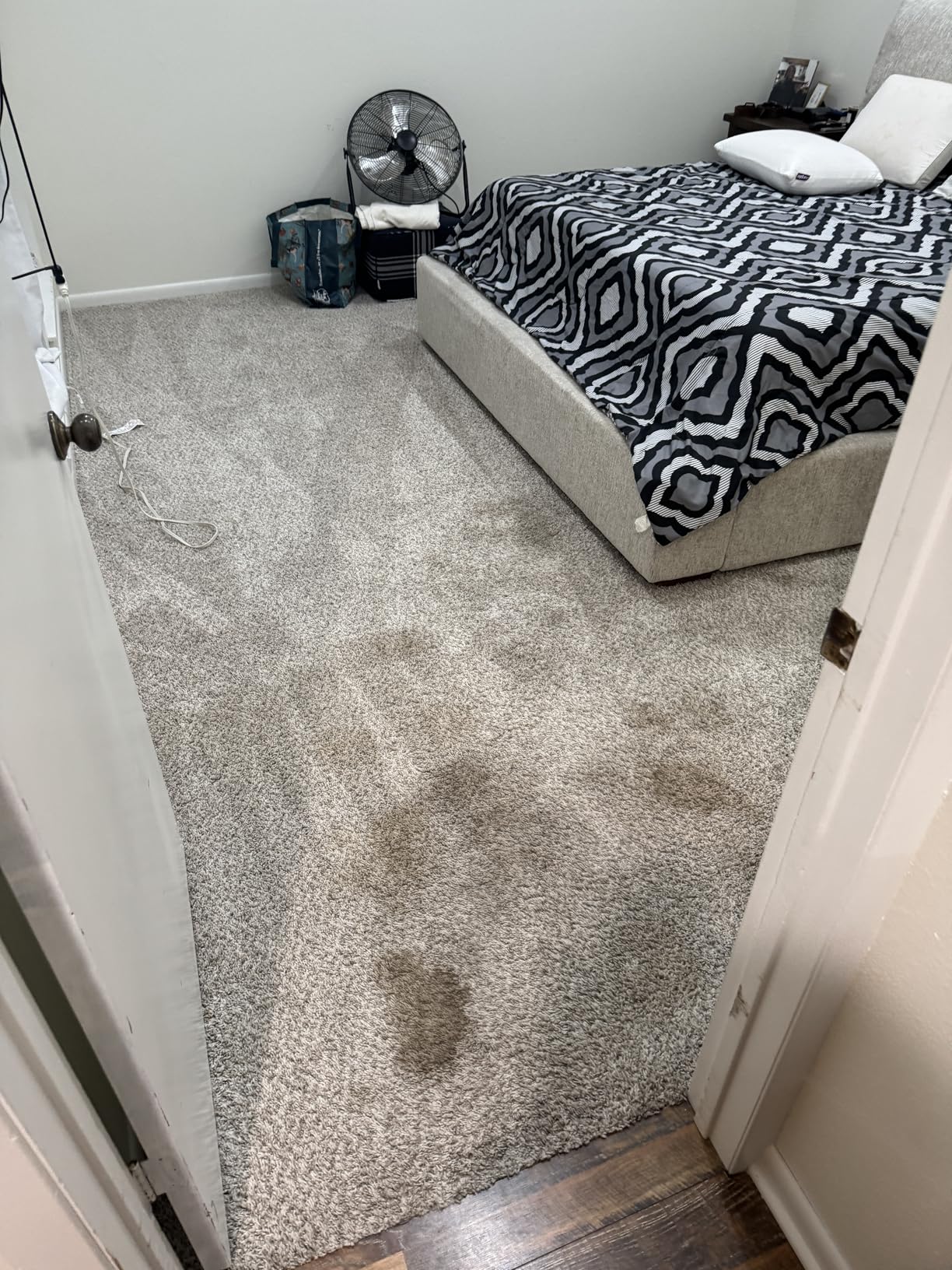 BISSELL ProHeat 2X Revolution Pet Pro Plus, 3588F, Upright Deep Cleaner, 30-minute Dry Time, Dual Dirt Lifter Powerbrush, Hose & Tool Attachment, Pet Upholstery and Tough Stain Tool Included Customer Review BISSELL ProHeat 2X Revolution Pet Pro Plus, 3588F, Upright Deep Cleaner, 30-minute Dry Time, Dual Dirt Lifter Powerbrush, Hose & Tool Attachment, Pet Upholstery and Tough Stain Tool Included - Customer Photo 1