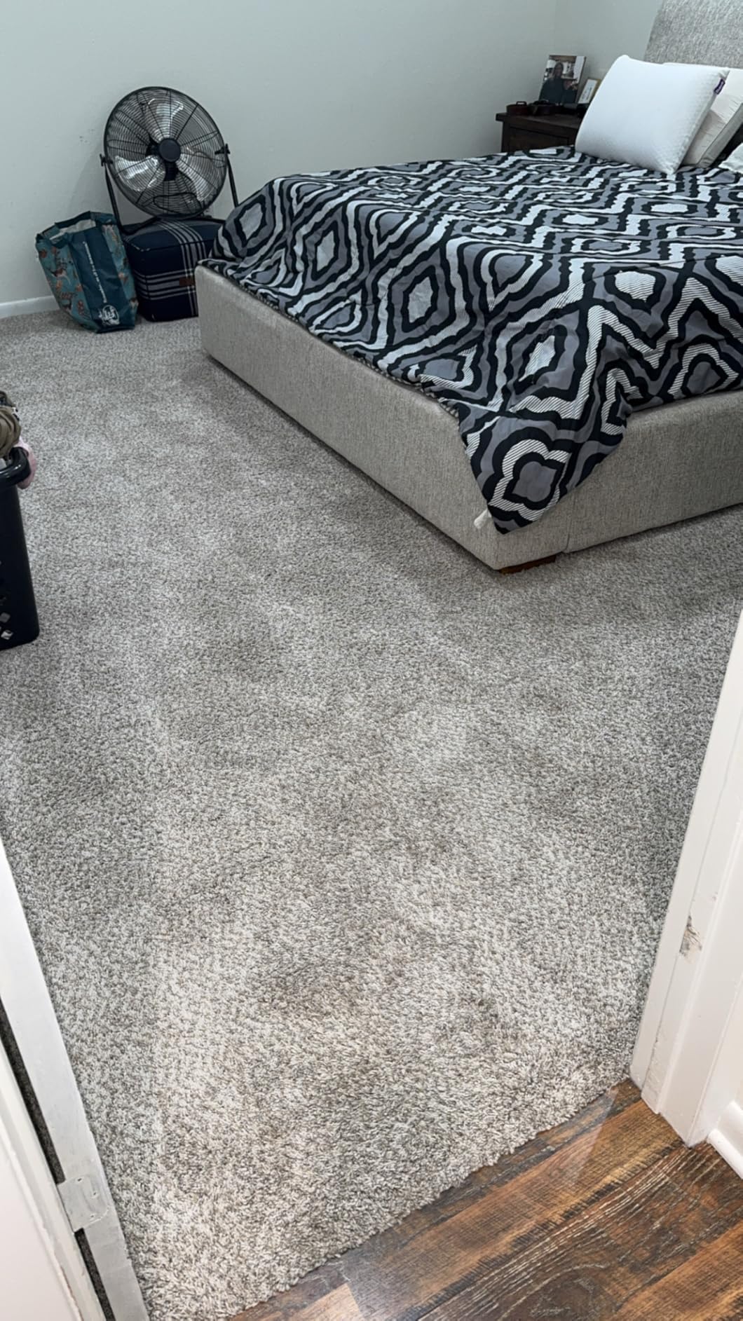 BISSELL ProHeat 2X Revolution Pet Pro Plus, 3588F, Upright Deep Cleaner, 30-minute Dry Time, Dual Dirt Lifter Powerbrush, Hose & Tool Attachment, Pet Upholstery and Tough Stain Tool Included Customer Review BISSELL ProHeat 2X Revolution Pet Pro Plus, 3588F, Upright Deep Cleaner, 30-minute Dry Time, Dual Dirt Lifter Powerbrush, Hose & Tool Attachment, Pet Upholstery and Tough Stain Tool Included - Customer Photo 2