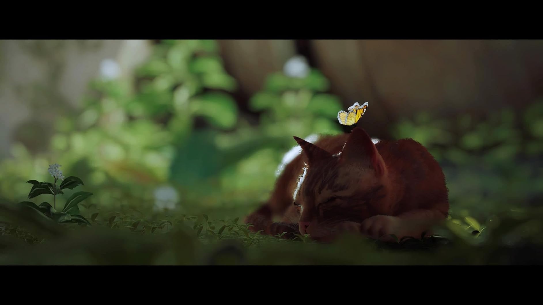 Stray for PlayStation 4 - Customer Photo 1