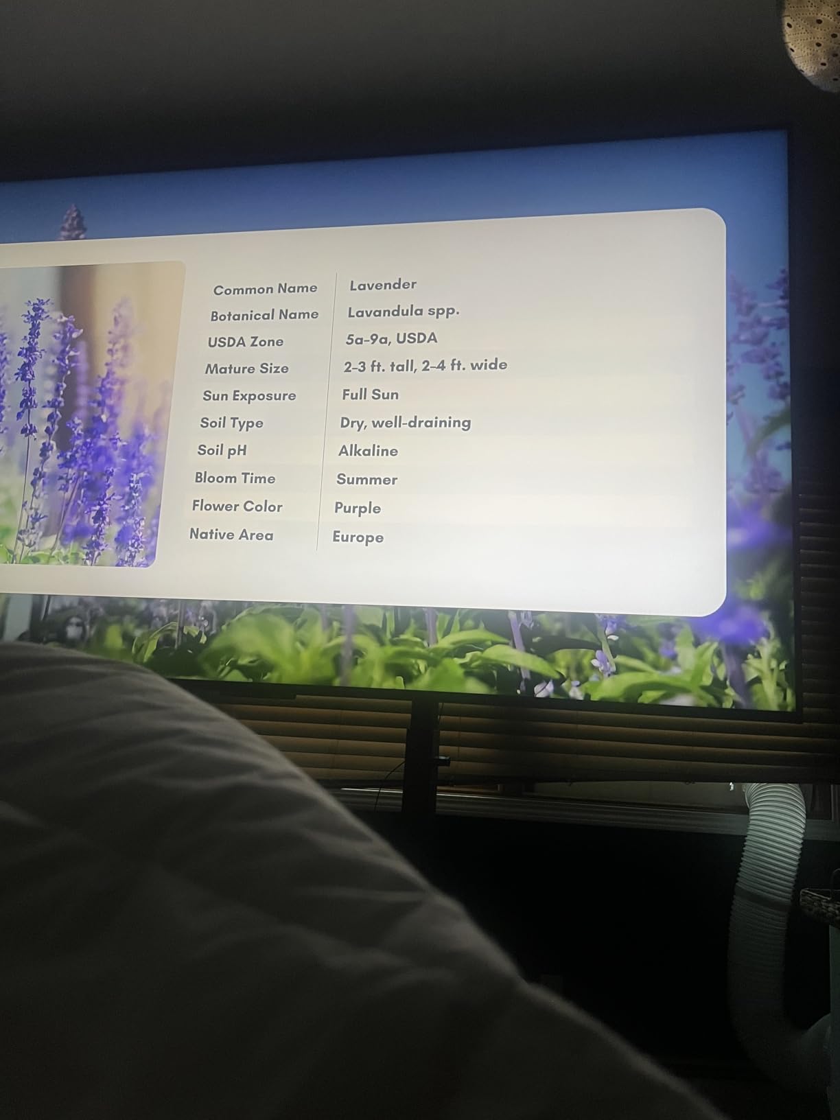 ONKRON Mobile TV Stand for 50-100 Inch TVs up to 265 lbs, Height Adjustable TV Portable Stand with +5/-5° Tilt, max VESA 1000x600, Heavy Duty TV Cart Rolling TV Stand on Wheels Black - Customer Photo 1