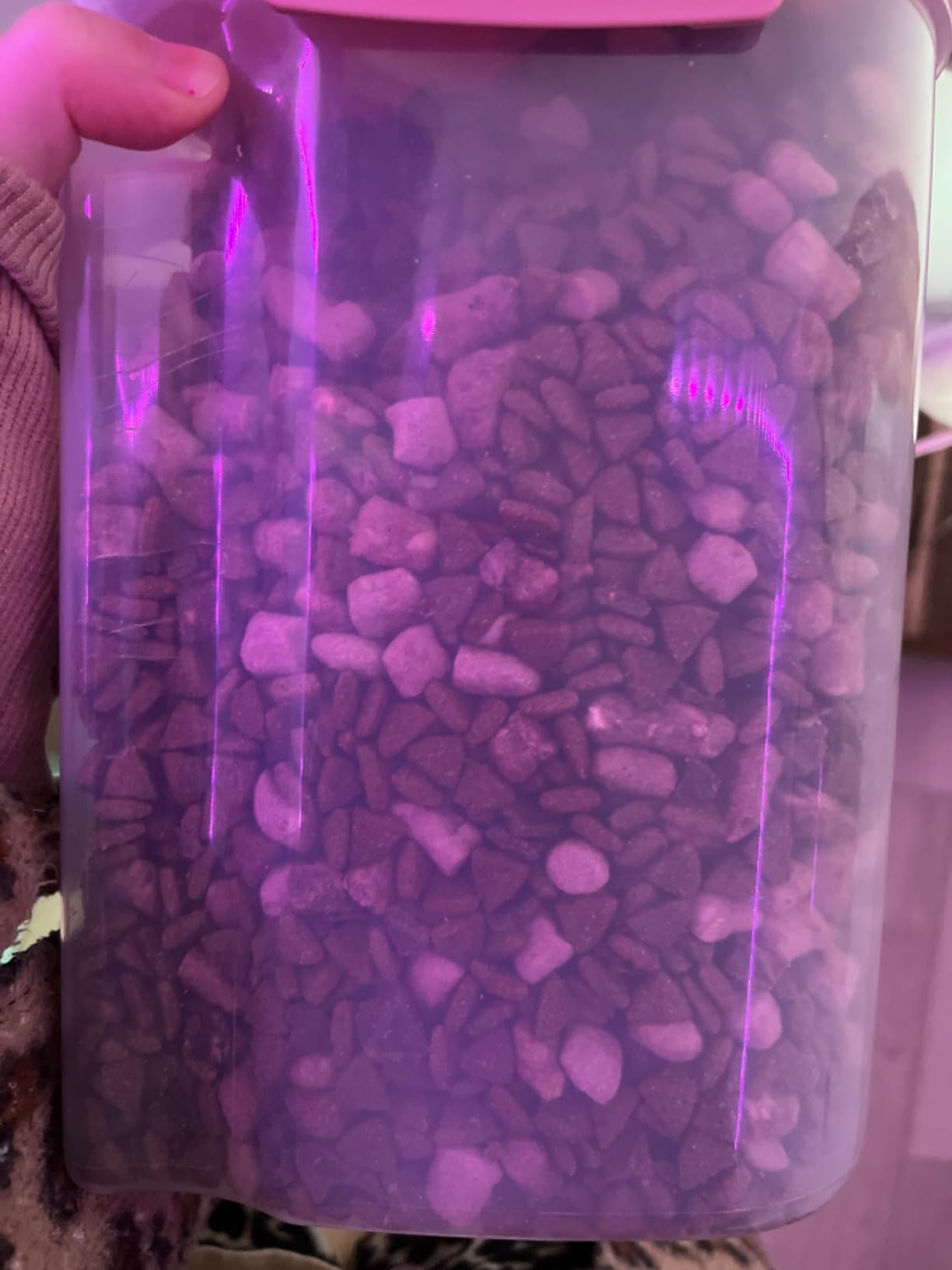 Vital Essentials Freeze-Dried Raw Pork Meal or Mixer Cat Food Crunchy Nibs, 12 oz Customer Review Vital Essentials Freeze-Dried Raw Pork Meal or Mixer Cat Food Crunchy Nibs, 12 oz - Customer Photo 3