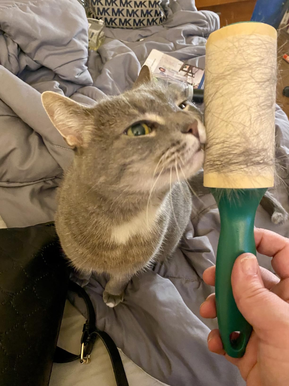 BISSELL Pet Hair Eraser Turbo Lift-Off Vacuum, w/Self-Cleaning Brush Roll, HEPA Filtration, Powerful Pet Hair Pickup with TurboBrush Pivot Tool & LED-lit dusting Brush & Crevice Tool, 3774F Customer Review BISSELL Pet Hair Eraser Turbo Lift-Off Vacuum, w/Self-Cleaning Brush Roll, HEPA Filtration, Powerful Pet Hair Pickup with TurboBrush Pivot Tool & LED-lit dusting Brush & Crevice Tool, 3774F - Customer Photo 1