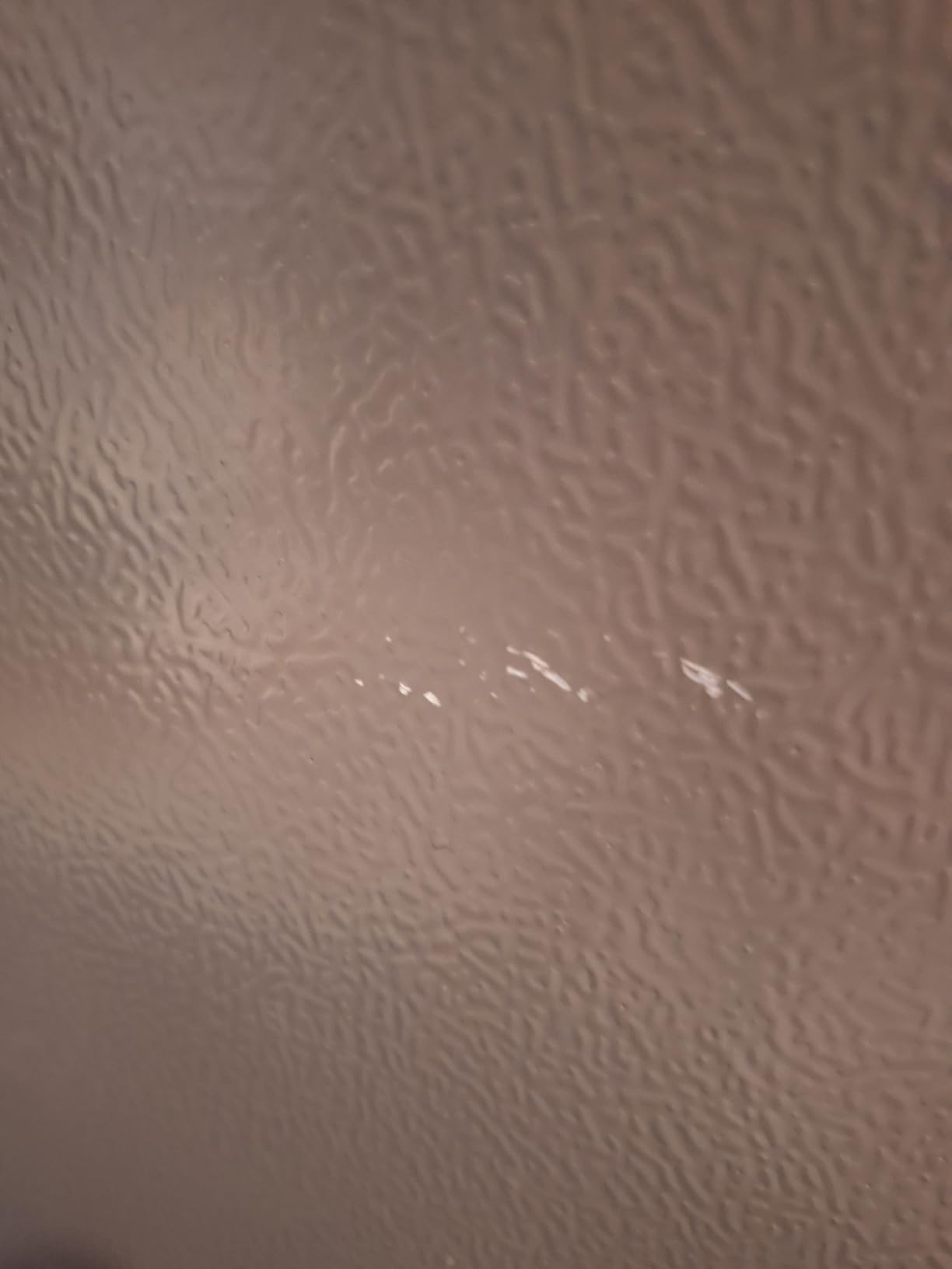 Kenmore 33 in. 20.5 cu. ft. Capacity Refrigerator/Freezer Full-Width Adjustable Glass Shelving, Humidity Control Crispers, Black - Customer Photo 3