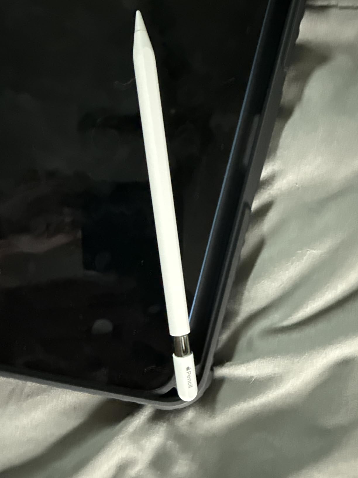 Apple Pencil (USB-C): Device Compatibility Check Required - Pixel-Perfect Precision, Tilt Sensitivity, Perfect for Note-Taking, Drawing, and Signing Documents. Charges and Pairs with USB-C - Customer Photo 3