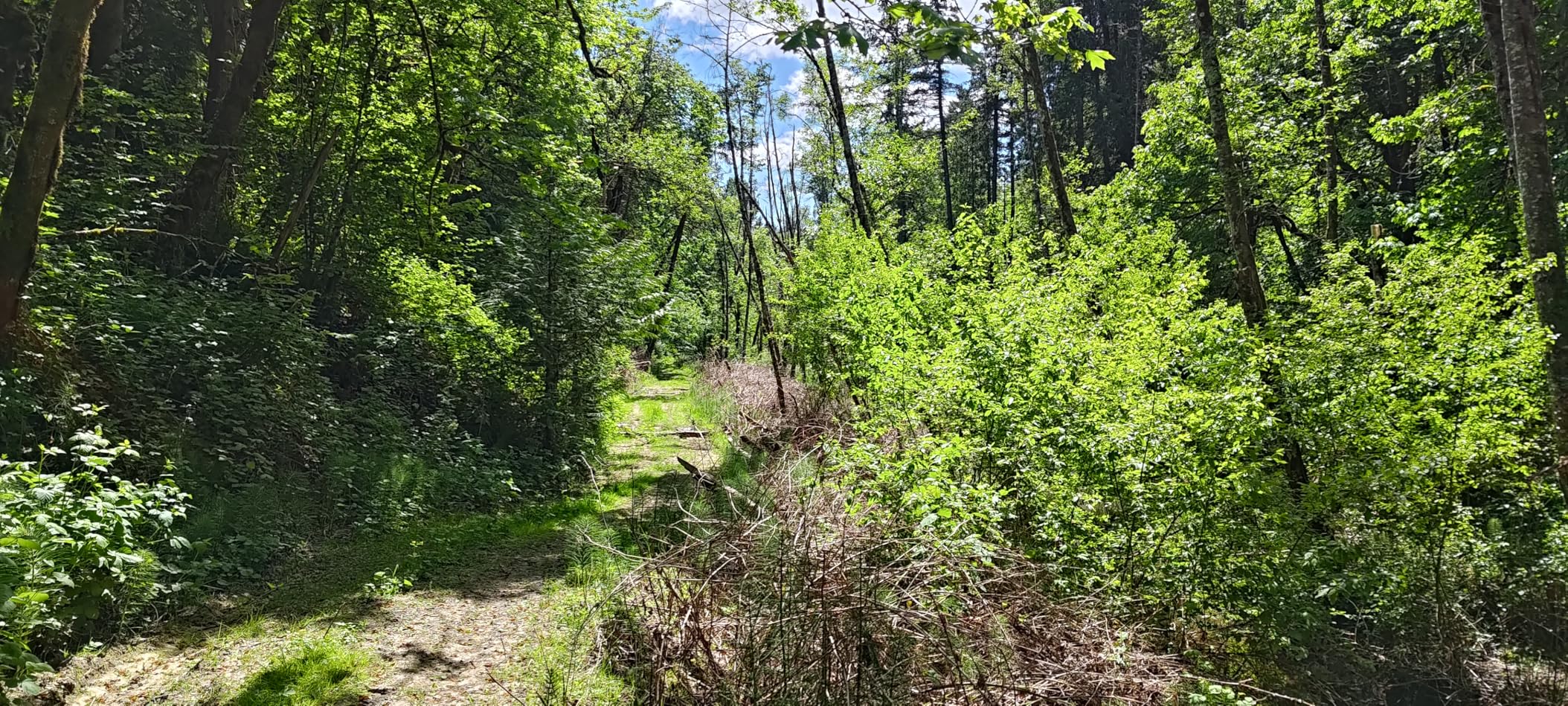 ASUS ROG Phone 8 Unlocked Android Phone, US Version, 6.78 ASUS ROG Phone 8 Unlocked Android Phone, US Version, 6.78