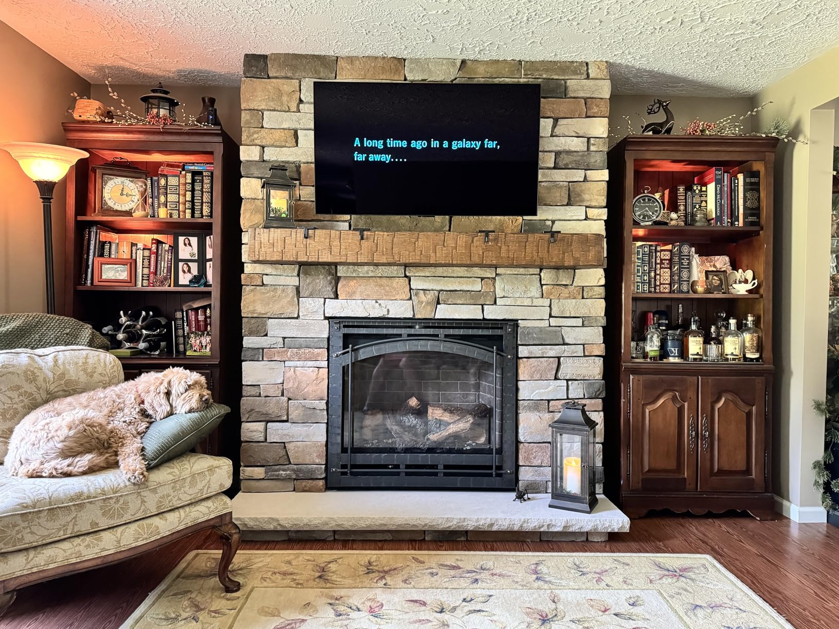 LG 55-Inch Class OLED evo C4 Series Smart TV 4K Processor Flat Screen with Magic Remote AI-Powered with Alexa Built-in (OLED55C4PUA, 2024) - Customer Photo 2