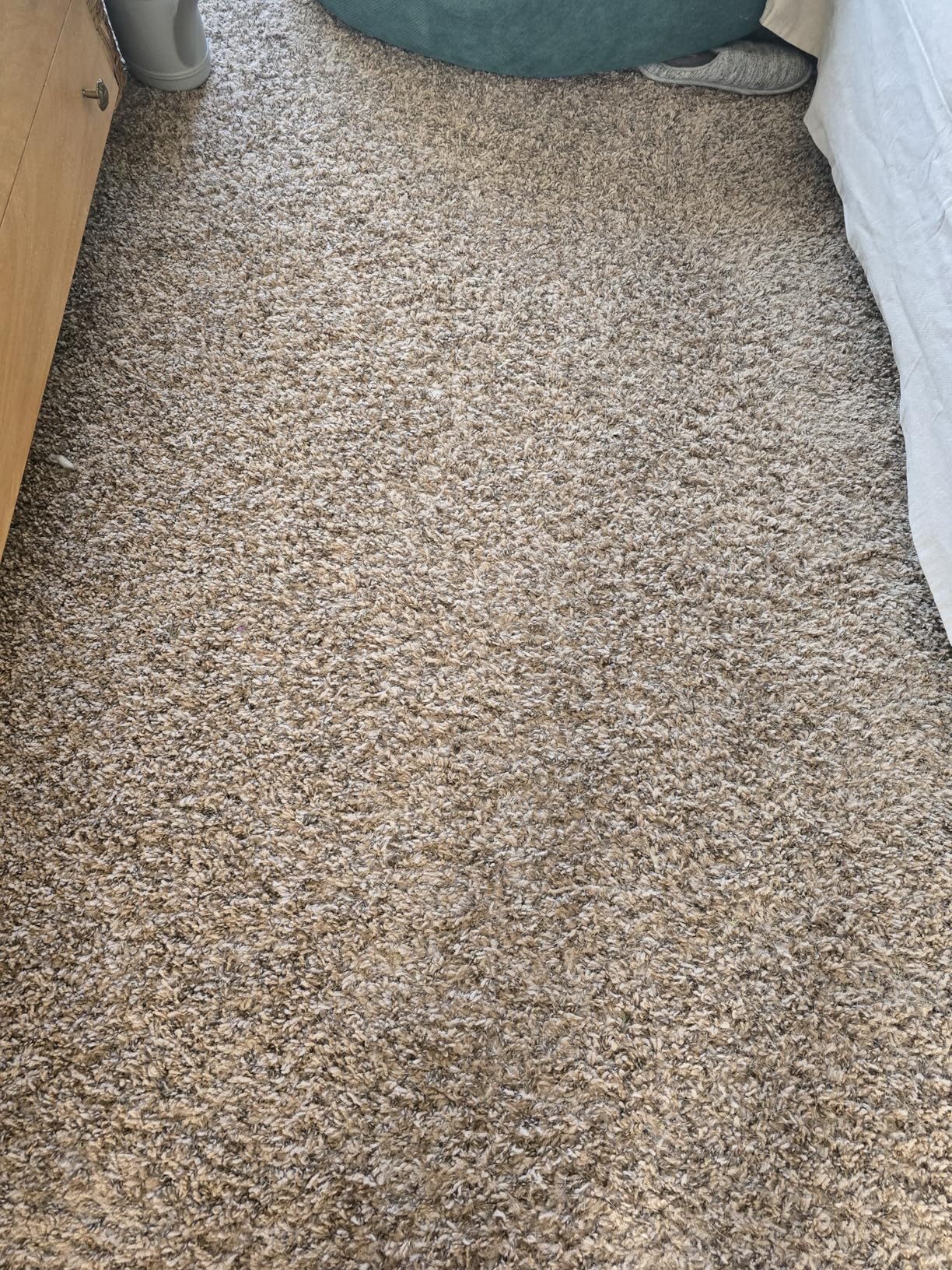 Bissell CleanView Swivel Vacuum with Triple Action Brush Roll, Swivel Steering, Extension Wand, Easy-Empty Dirt Tank, Multi-Cyclonic Suction System, New 2024 Model - Customer Photo 2