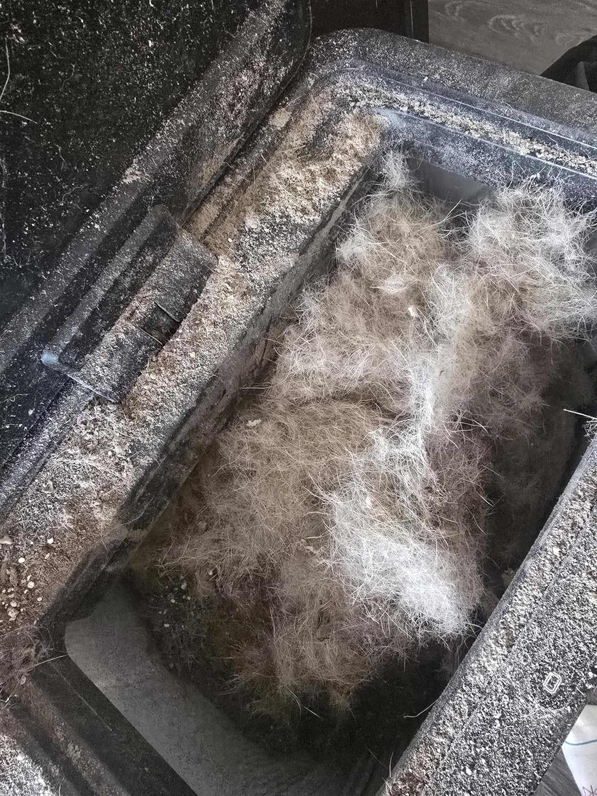 Bissell CleanView Swivel Vacuum with Triple Action Brush Roll, Swivel Steering, Extension Wand, Easy-Empty Dirt Tank, Multi-Cyclonic Suction System, New 2024 Model Customer Review Bissell CleanView Swivel Vacuum with Triple Action Brush Roll, Swivel Steering, Extension Wand, Easy-Empty Dirt Tank, Multi-Cyclonic Suction System, New 2024 Model - Customer Photo 3