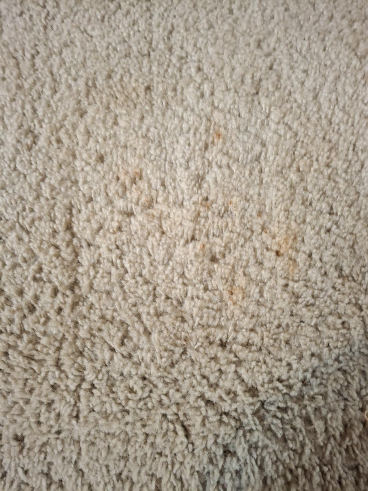 Abracadabra® Contractor Strength Wonder Cleaner - As Seen on TV - 16 fl oz - Gunk & Build up Remover - Removes Tar, Adhesives, Gum, Stickers, Sap, Oils & More on Most Surfaces - Better Stronger Faster - Customer Photo 1