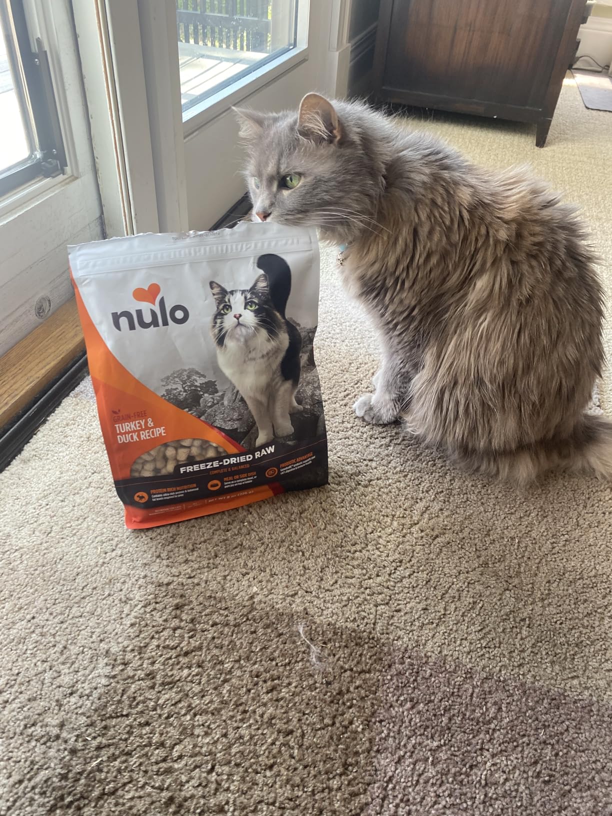 Nulo Freestyle Freeze-Dried Raw, Ultra-Rich Grain-Free Dry Cat Food for All Breeds and Life Stages with BC30 Probiotic for Digestive and Immune Health, Chicken & Salmon, 16 Ounce Customer Review Nulo Freestyle Freeze-Dried Raw, Ultra-Rich Grain-Free Dry Cat Food for All Breeds and Life Stages with BC30 Probiotic for Digestive and Immune Health, Chicken & Salmon, 16 Ounce - Customer Photo 2