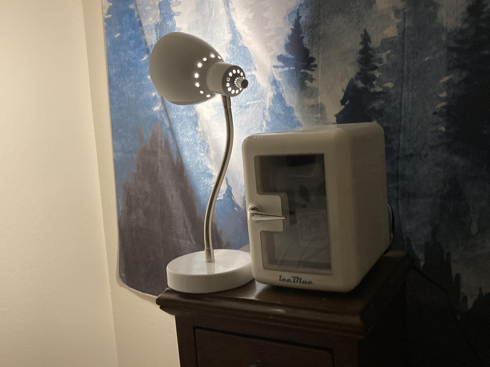 Skincare Fridge with Viewing Window, 4L/6Can Makeup Mini Fridge for Bedroom, 110V AC/ 12V DC Refrigerator Cooler & Warmer for Car, Office & Dorm, Small Fridge for Cosmetics, Skin Care-Pink - Customer Photo 1