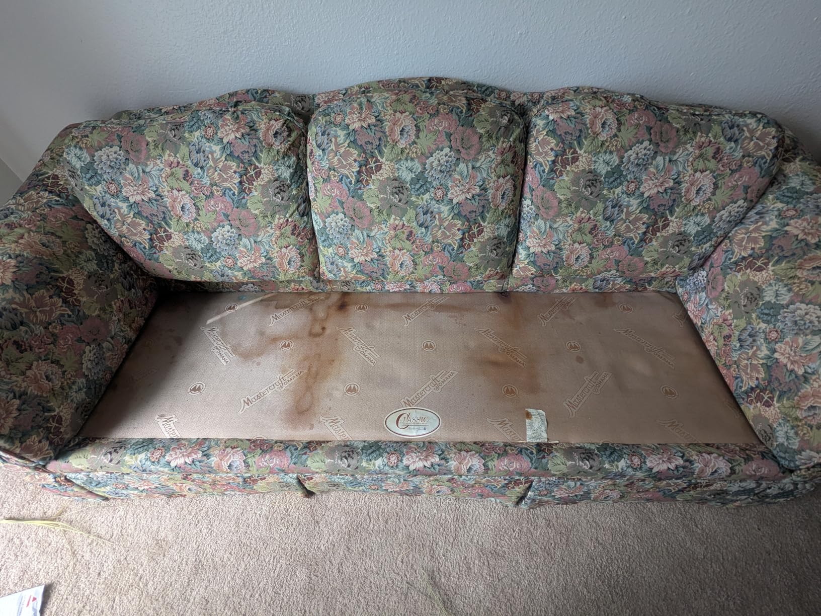 BISSELL Little Green Mini Portable Carpet and Upholstery Deep Cleaner, Car/Auto Detailer, with HydroRinse Self-Cleaning Tool and 4