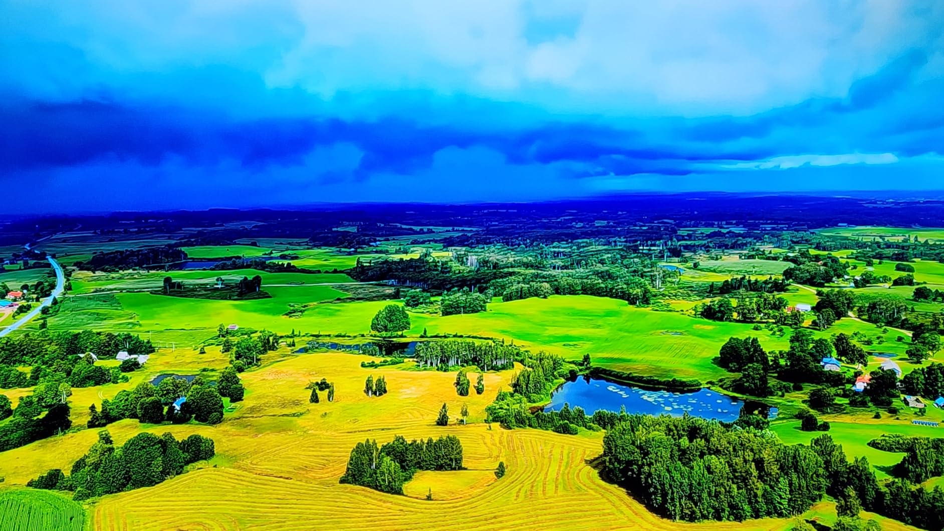 INSIGNIA 65-inch Class F50 Series LED 4K UHD Smart Fire TV with Alexa Voice Remote (NS-65F501NA24) - Customer Photo 1