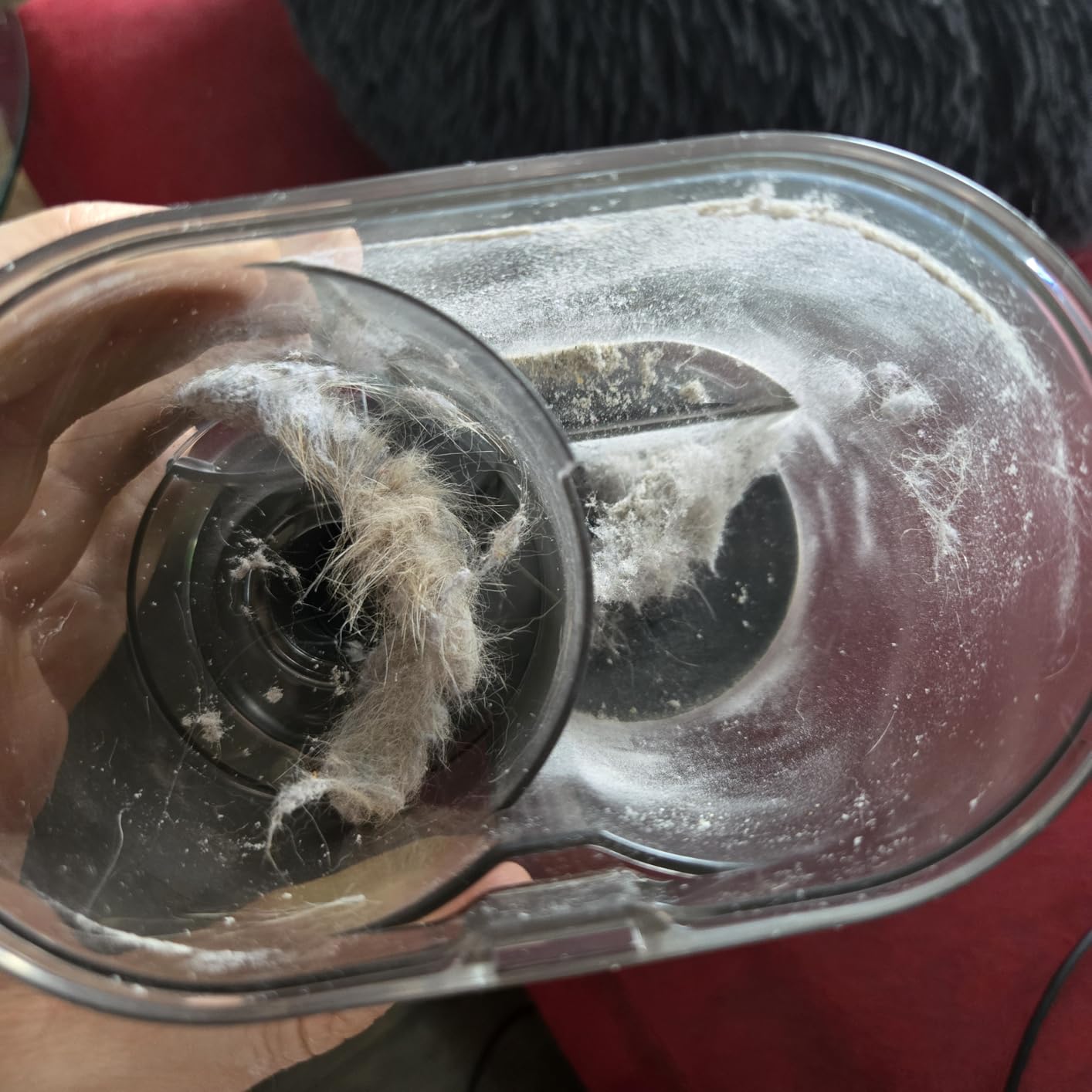 FEPPO Mattress Vacuum Cleaner, 16Kpa Bed Vacuum Cleaner with 253.7nm UV-C Light, 140°F Heat, HEPA Filter & Ultrasonic, Versatile Handheld Vacuums for Bed, Sofa, Couch, Crib(Corded, 500W) - Customer Photo 1