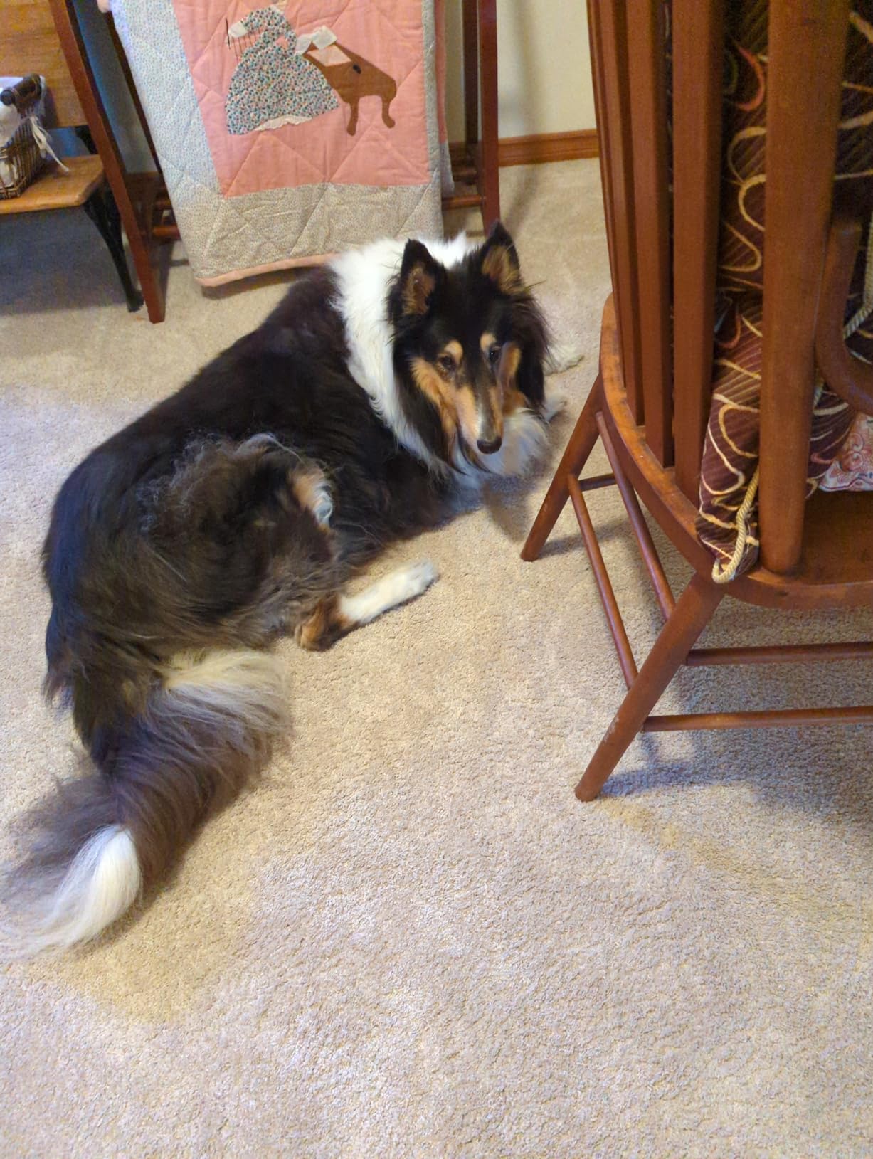 Uproot Clean Washing Machine Cleaner Tablets Ultra - 40% Stronger Formula: Designed for Pet Owners, Remove Residue, Grime & Odors, Compatible with HE, Top & Front Load, 24 Pack - 12 Month Supply - Customer Photo 1