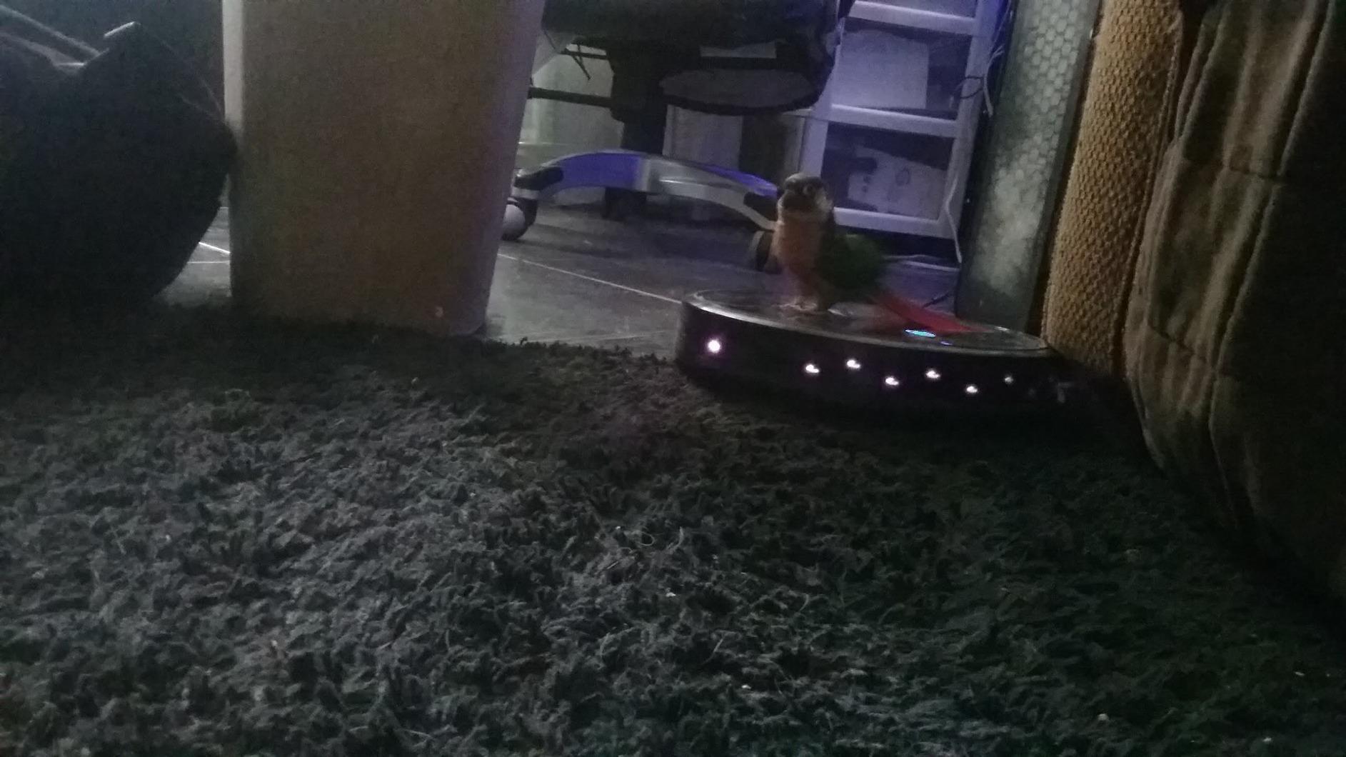 eufy C10 Robot Vacuum Self Emptying, 8 Weeks Hands Free, Advanced Smart Mapping with LiDAR Navigation, 2.85-Inch Slim Design, Powerful Suction, Edge Expansion Brush for Pet Hair - Customer Photo 1