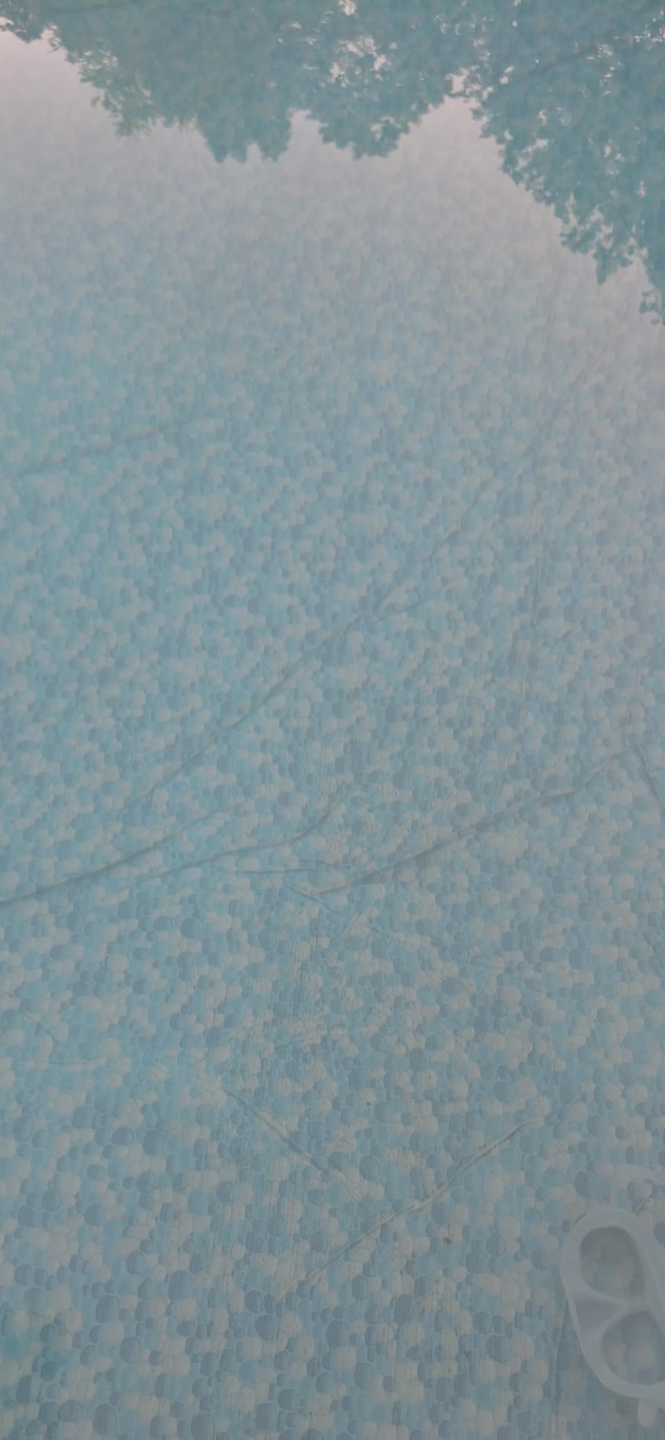 Bubot 300P Robotic Pool Cleaner, Cordless Pool Vacuum with Industry Leading Suction Power, Bluehole Tech, DirtLock Tech, Smart Sensor for Above-Ground Flat Pools up to 850 Sq.Ft, Silver Customer Review Bubot 300P Robotic Pool Cleaner, Cordless Pool Vacuum with Industry Leading Suction Power, Bluehole Tech, DirtLock Tech, Smart Sensor for Above-Ground Flat Pools up to 850 Sq.Ft, Silver - Customer Photo 3