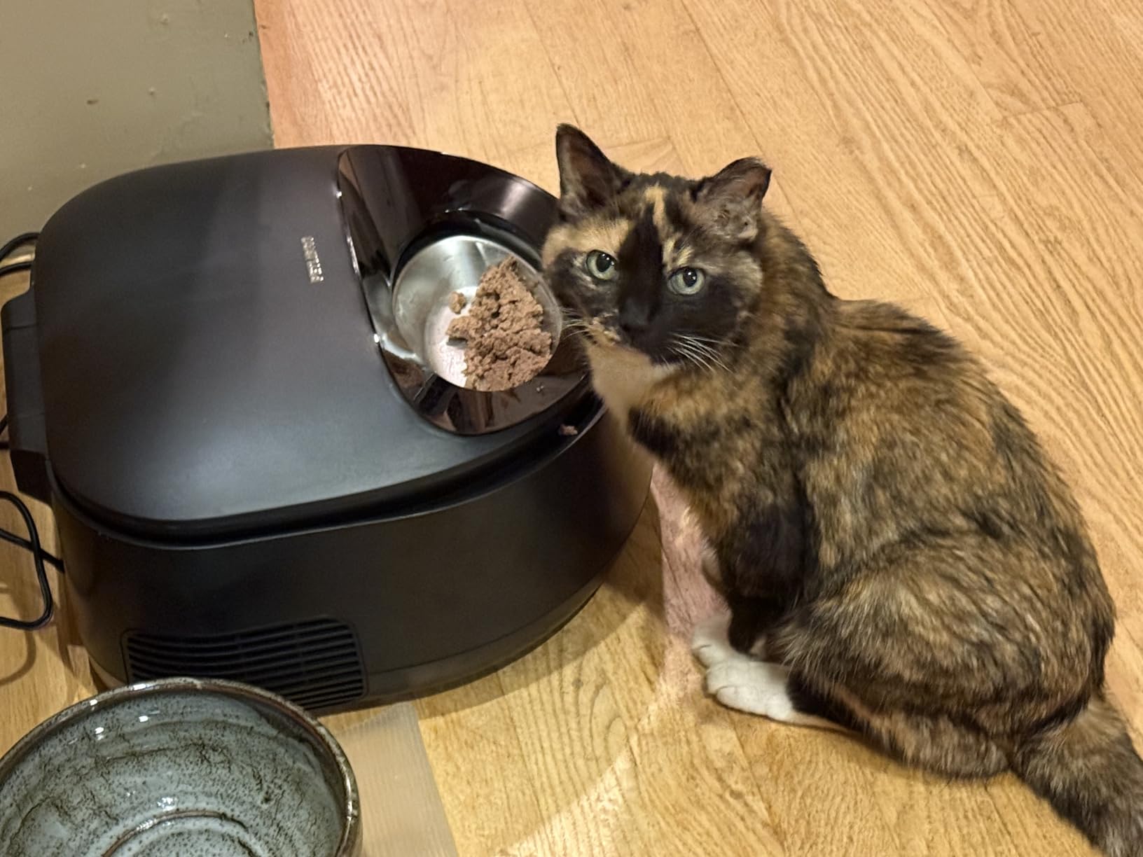 PETLIBRO Automatic Cat Feeder Wet Food with Stainless Steel Bowl, Refrigerated Auto Cat Feeder with Semiconductor Cooling, 3 Fresh Meals for 3 Days, App-Controlled Pet Food Dispenser, Easy to Clean Customer Review PETLIBRO Automatic Cat Feeder Wet Food with Stainless Steel Bowl, Refrigerated Auto Cat Feeder with Semiconductor Cooling, 3 Fresh Meals for 3 Days, App-Controlled Pet Food Dispenser, Easy to Clean - Customer Photo 1