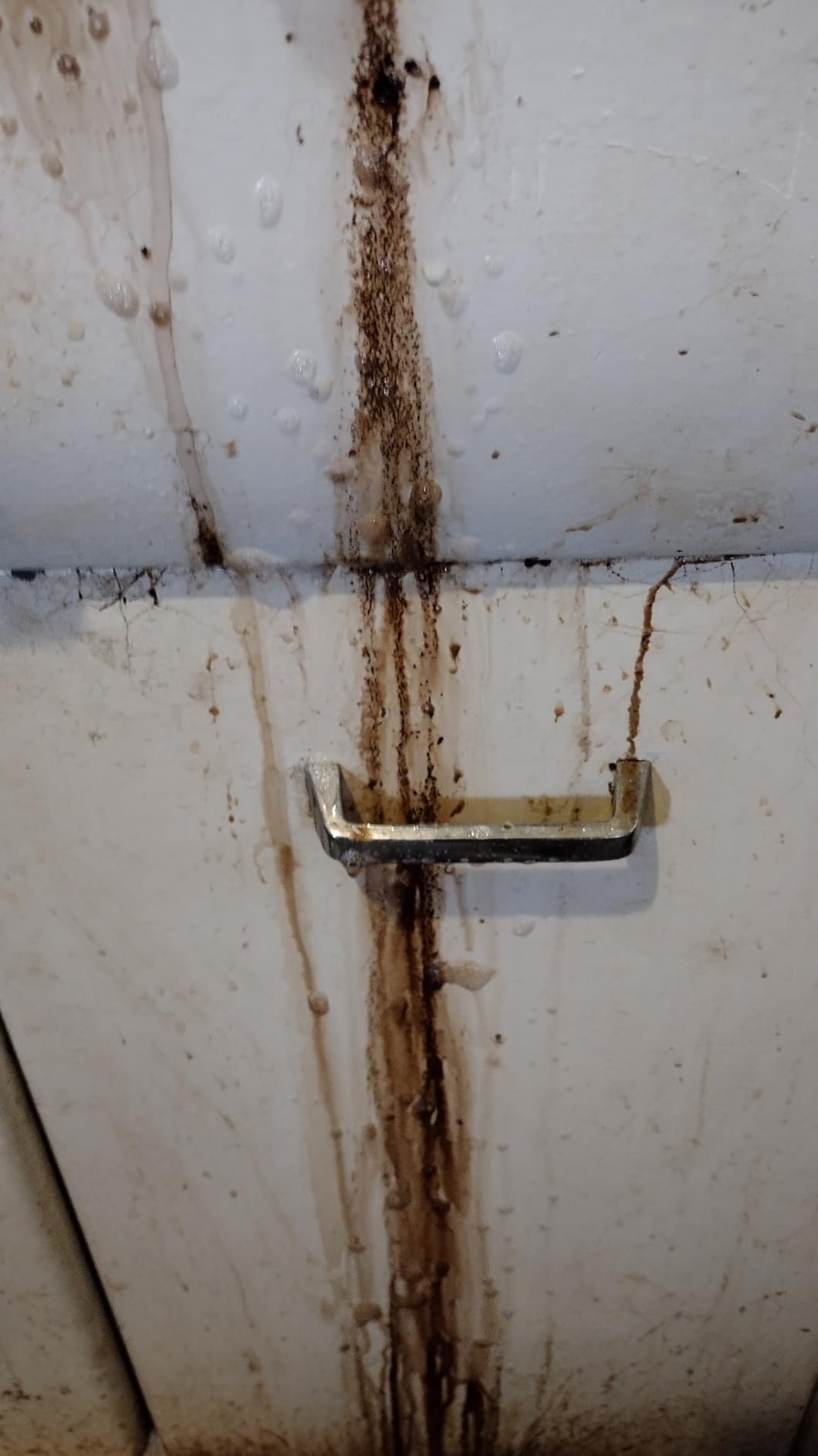 The Pink Stuff Miracle Multi-Purpose Cleaner Spray, 30 fl oz – Now 20% More! Powerful All-Purpose Cleaning Solution for Kitchens, Bathrooms, Floors & More – Cuts Through Grease & Grime with Ease - Customer Photo 1