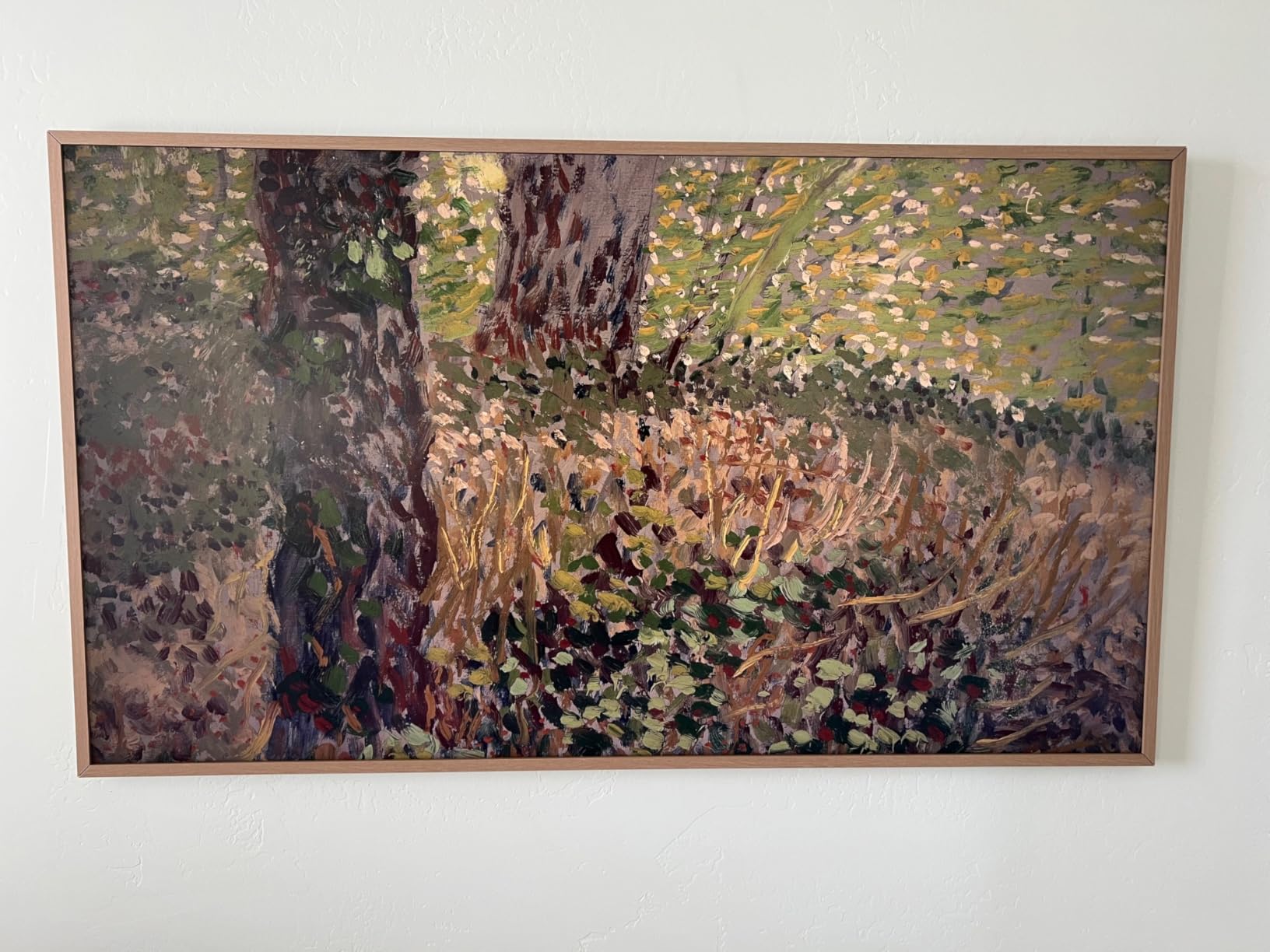 Samsung 55-Inch Class The Frame LS03F 4K QLED Smart TV (2025 Model) Modern Frame Design, NQ4 AI Gen2 Processor, Art Mode, Artful Picture Quality, Samsung Vision AI, Alexa Built-in - Customer Photo 2