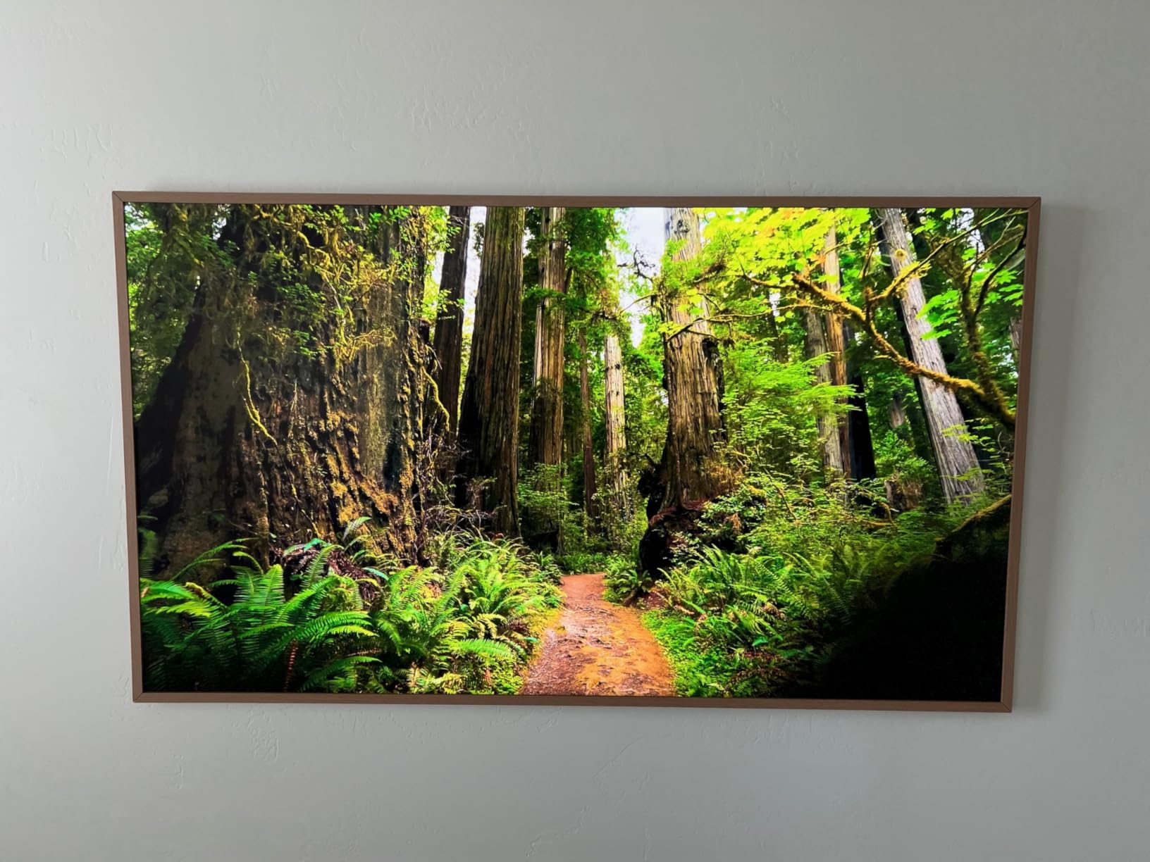 Samsung 43-Inch Class The Frame LS03F 4K QLED Smart TV (2025 Model) Modern Frame Design, NQ4 AI Gen2 Processor, Art Mode, Artful Picture Quality, Samsung Vision AI, Alexa Built-in - Customer Photo 2